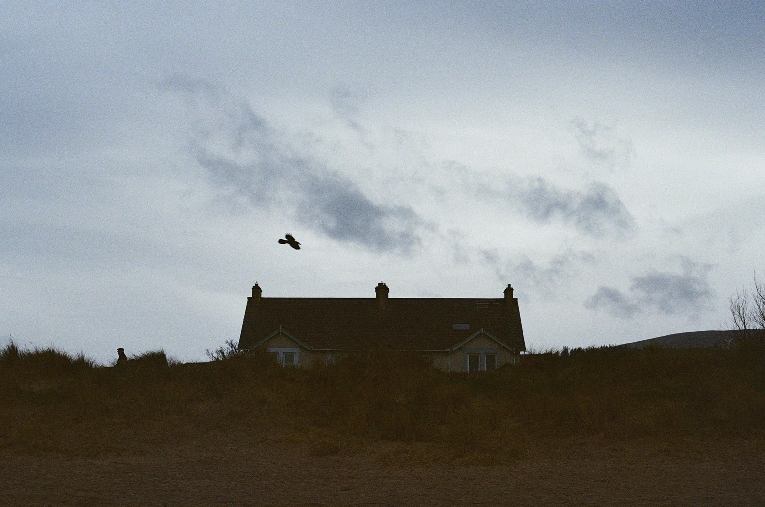 Analog Mood in Ulster - image 2 - student project