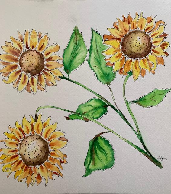 Sunflowers - image 4 - student project