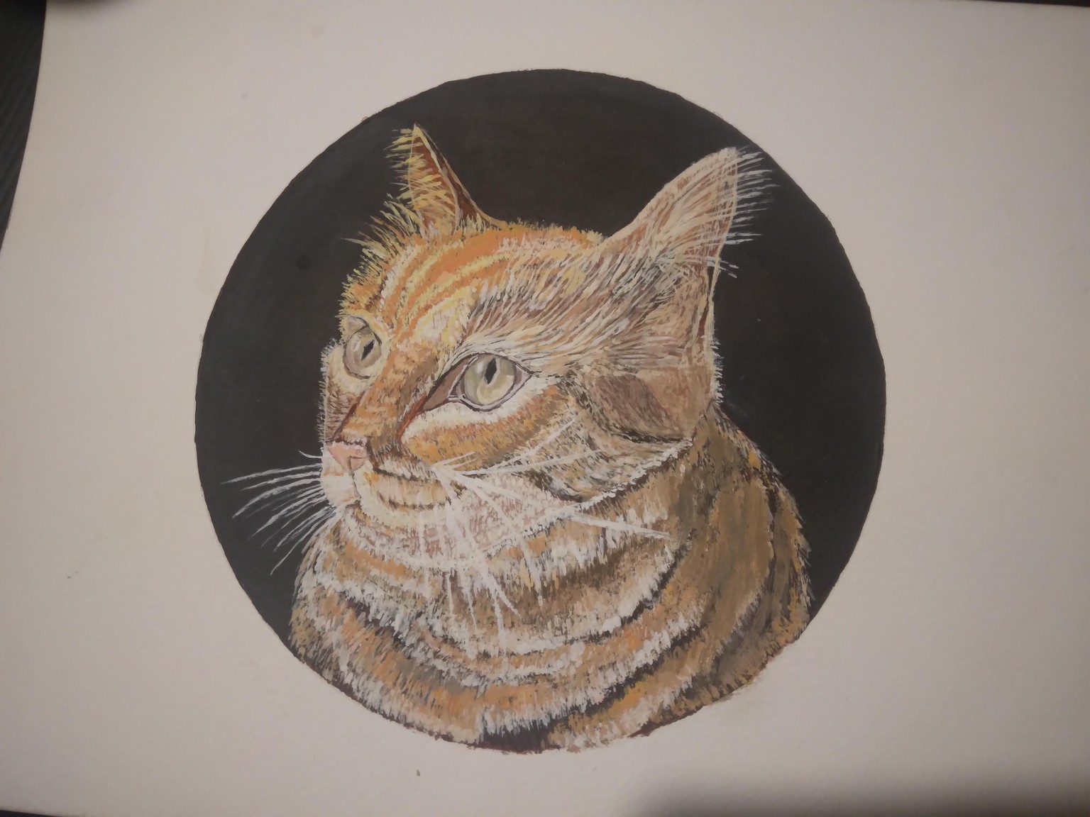 The third cat - image 6 - student project