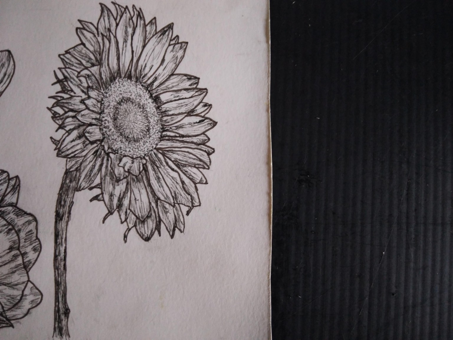 floral challenge finished - image 4 - student project