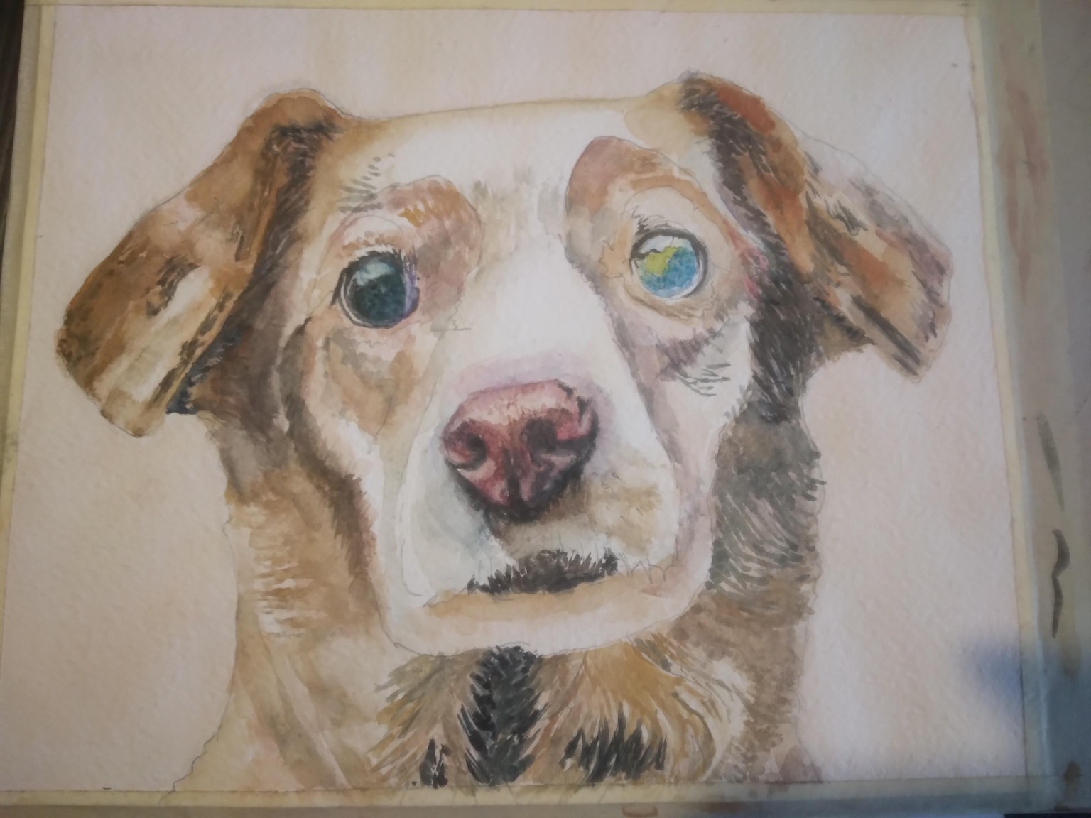 Lovely Dog - image 2 - student project