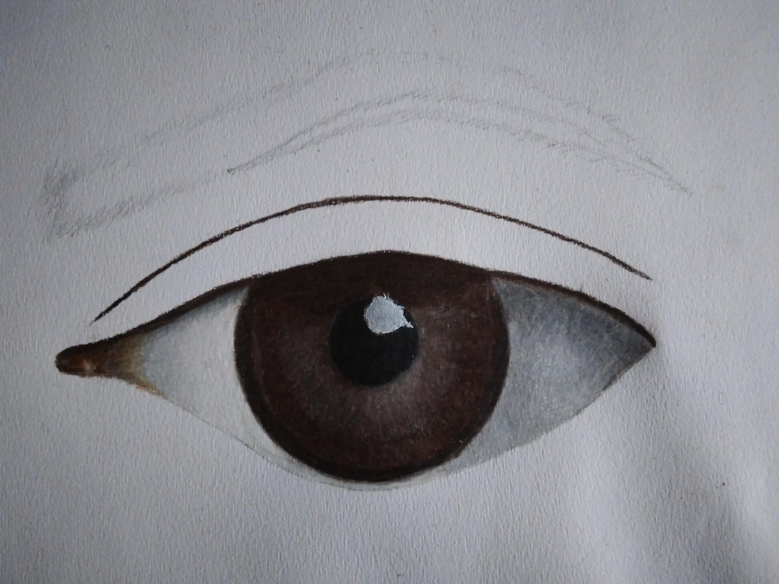 Brown eye - image 1 - student project