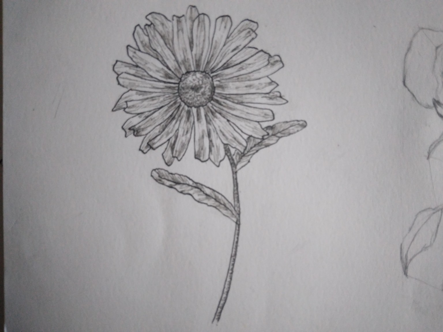 floral challenge finished - image 1 - student project