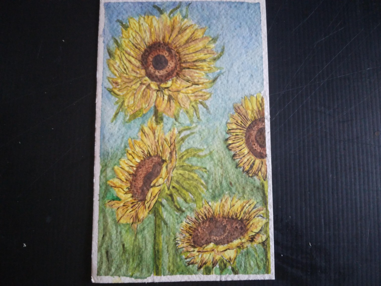my watercolour sunflowers - image 2 - student project