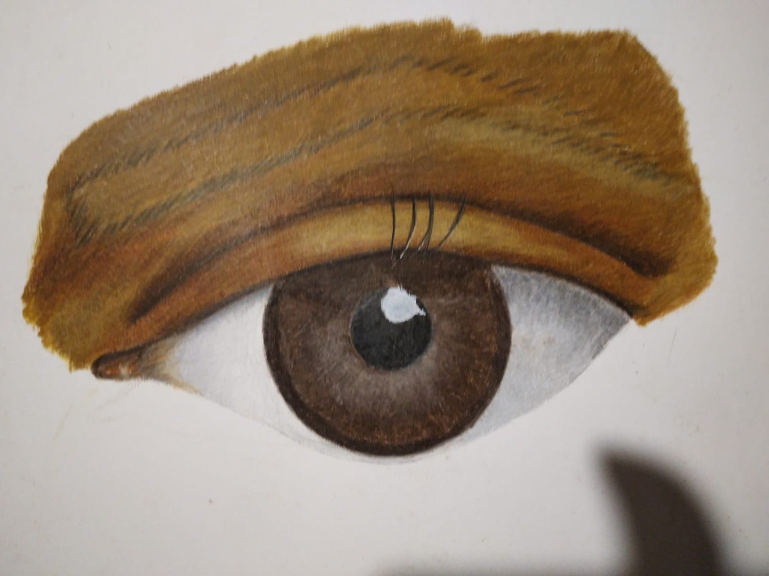 Brown eye - image 2 - student project