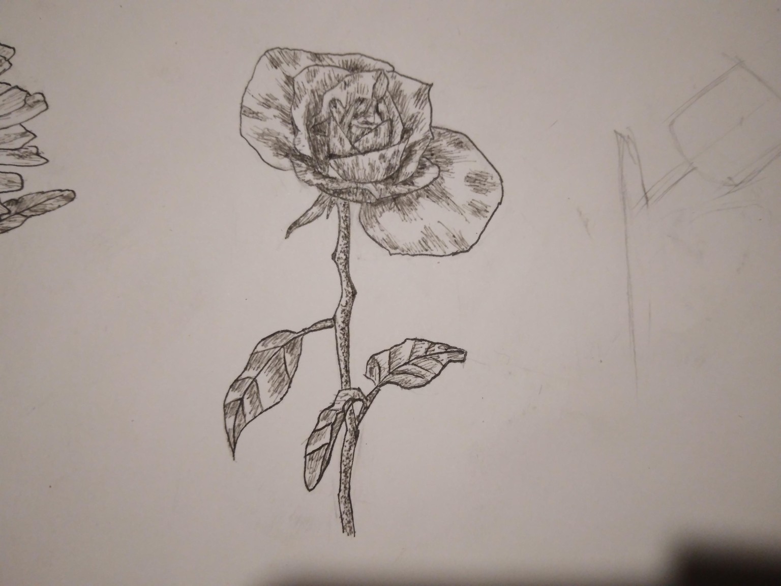 floral challenge finished - image 2 - student project