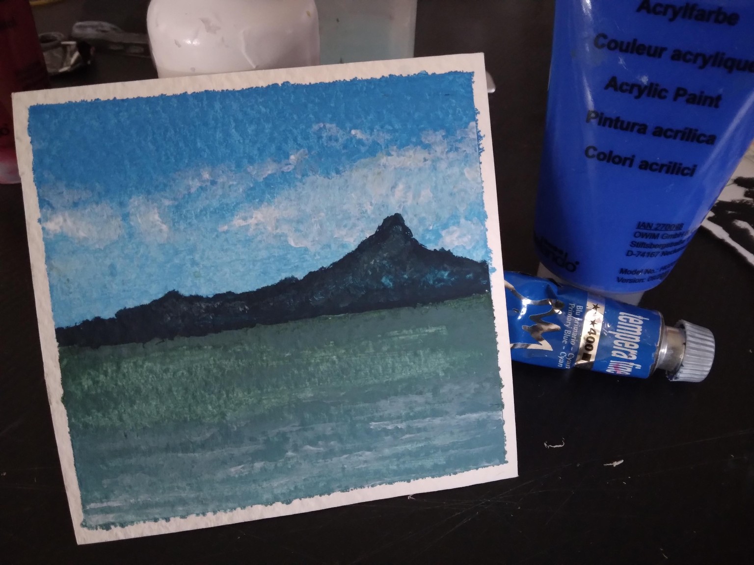 2 Hawaii seascape - image 1 - student project
