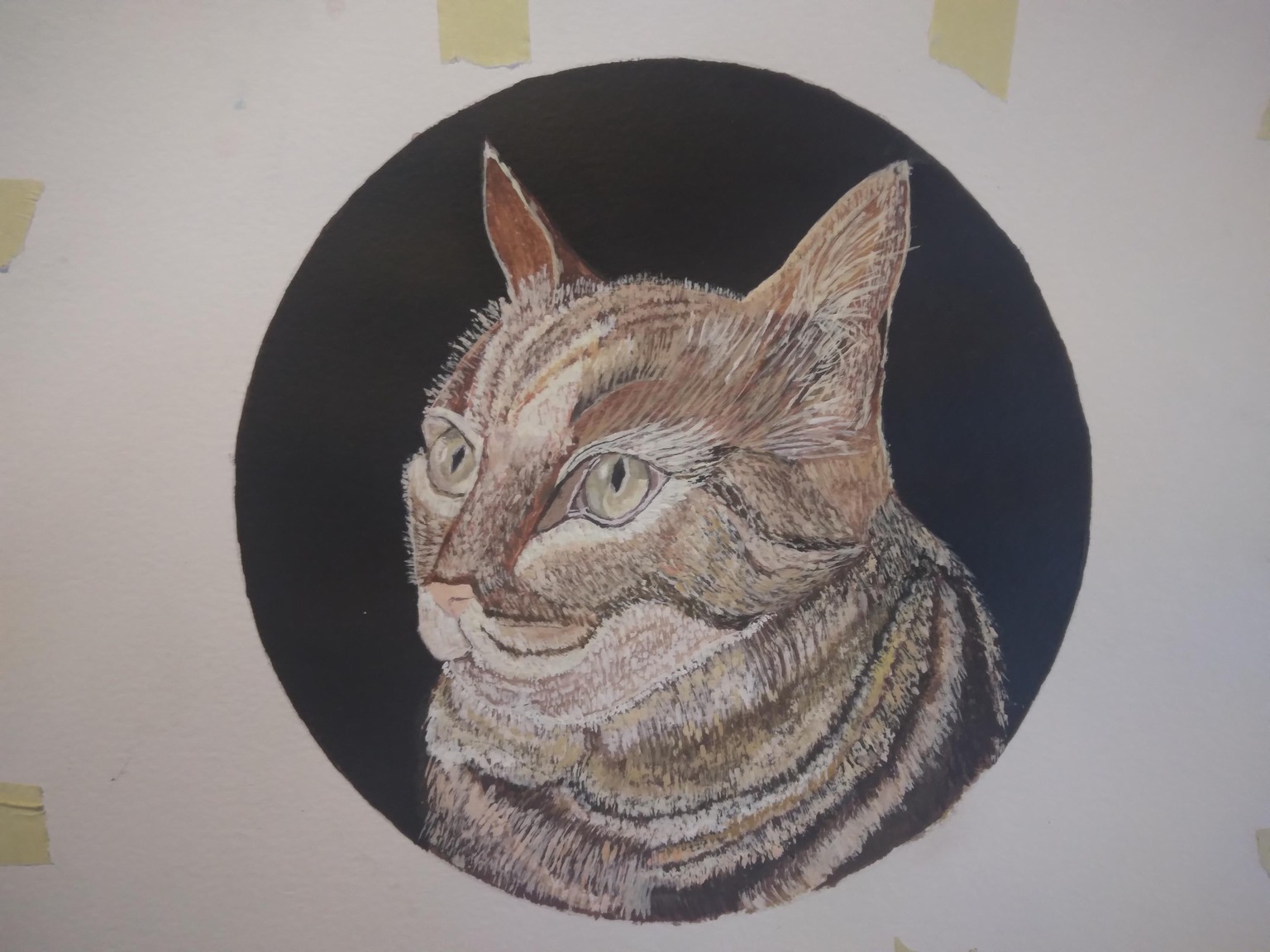 The third cat - image 2 - student project