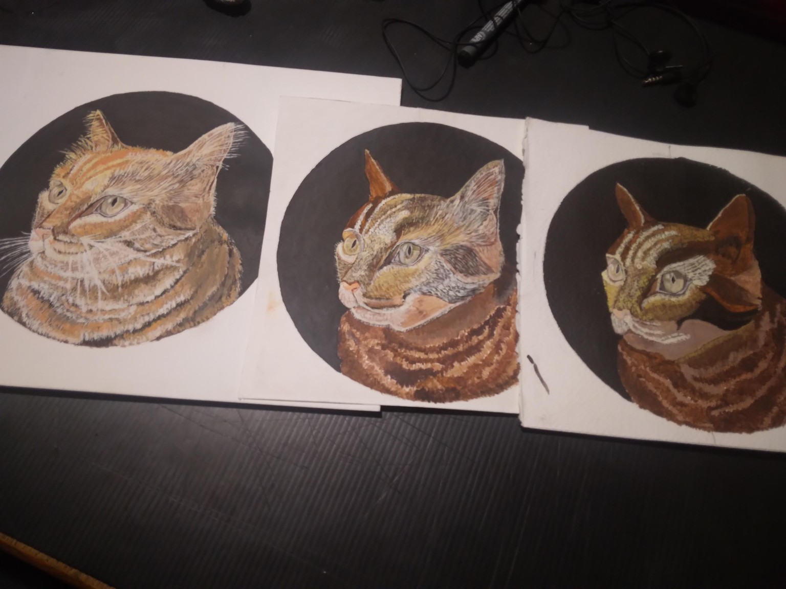 The third cat - image 4 - student project