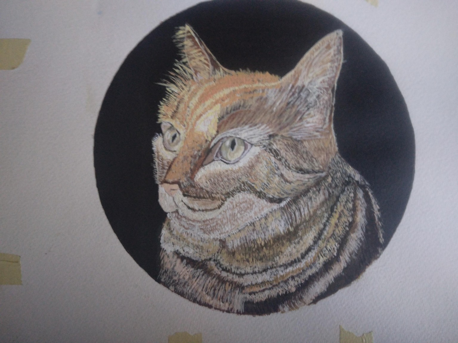 The third cat - image 3 - student project