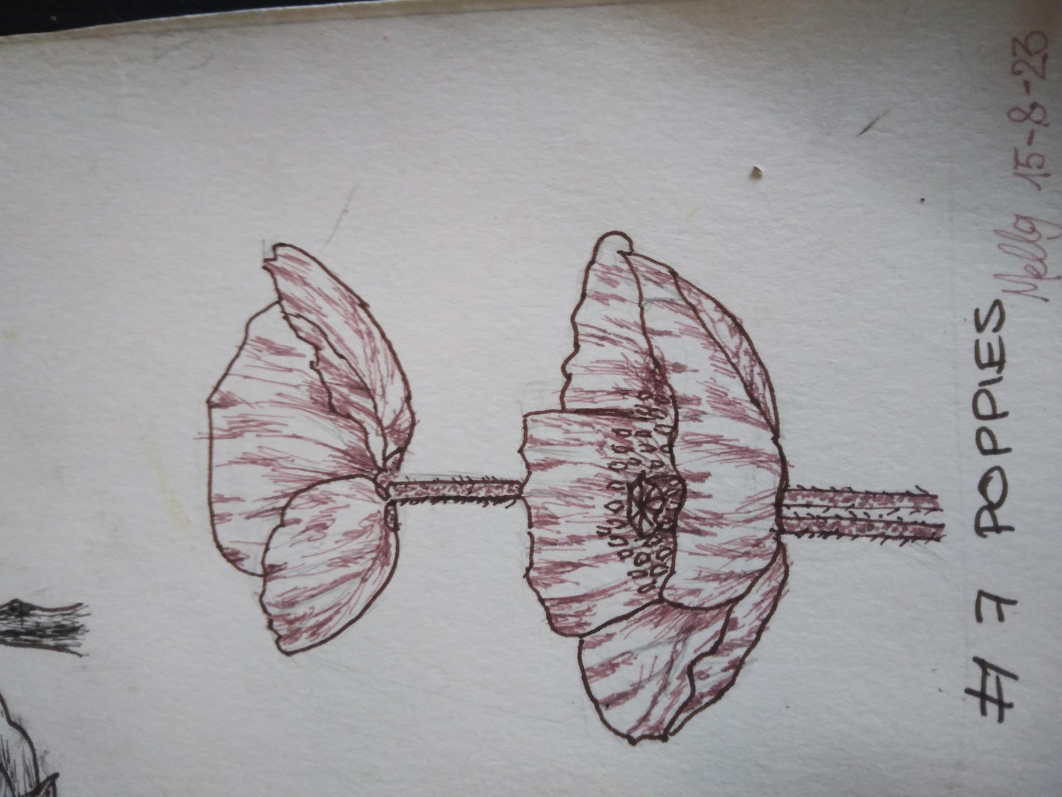floral challenge finished - image 7 - student project