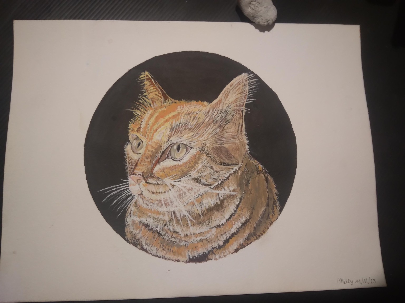 The third cat - image 5 - student project