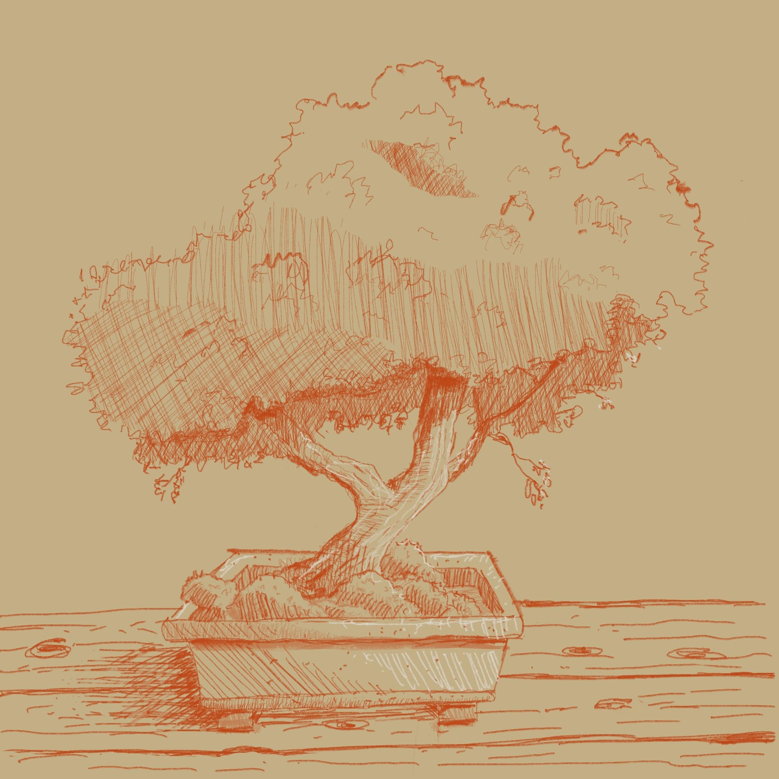 First Tree - image 1 - student project