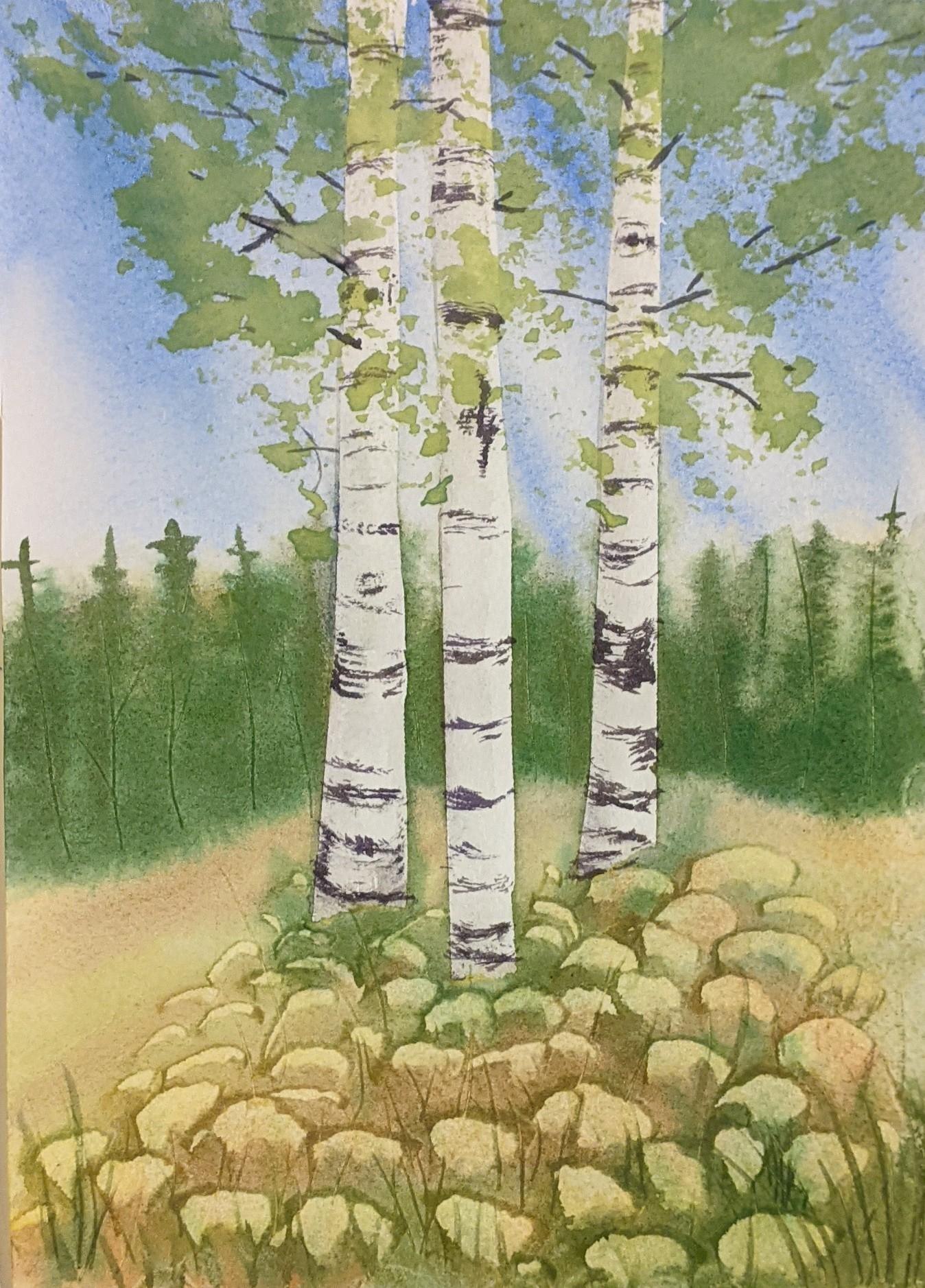 Birch trees - image 1 - student project
