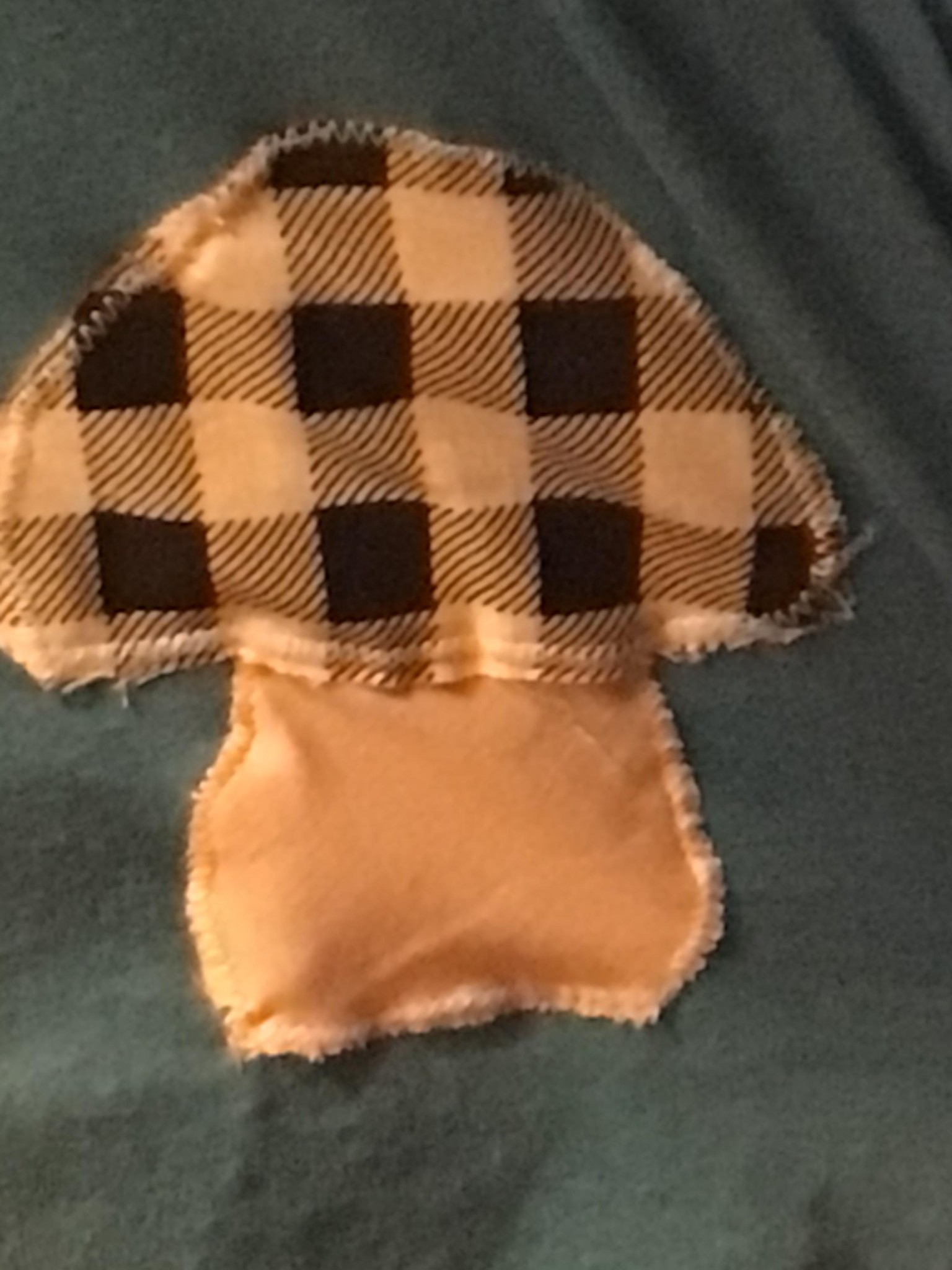 Mushroom on shirt - image 1 - student project