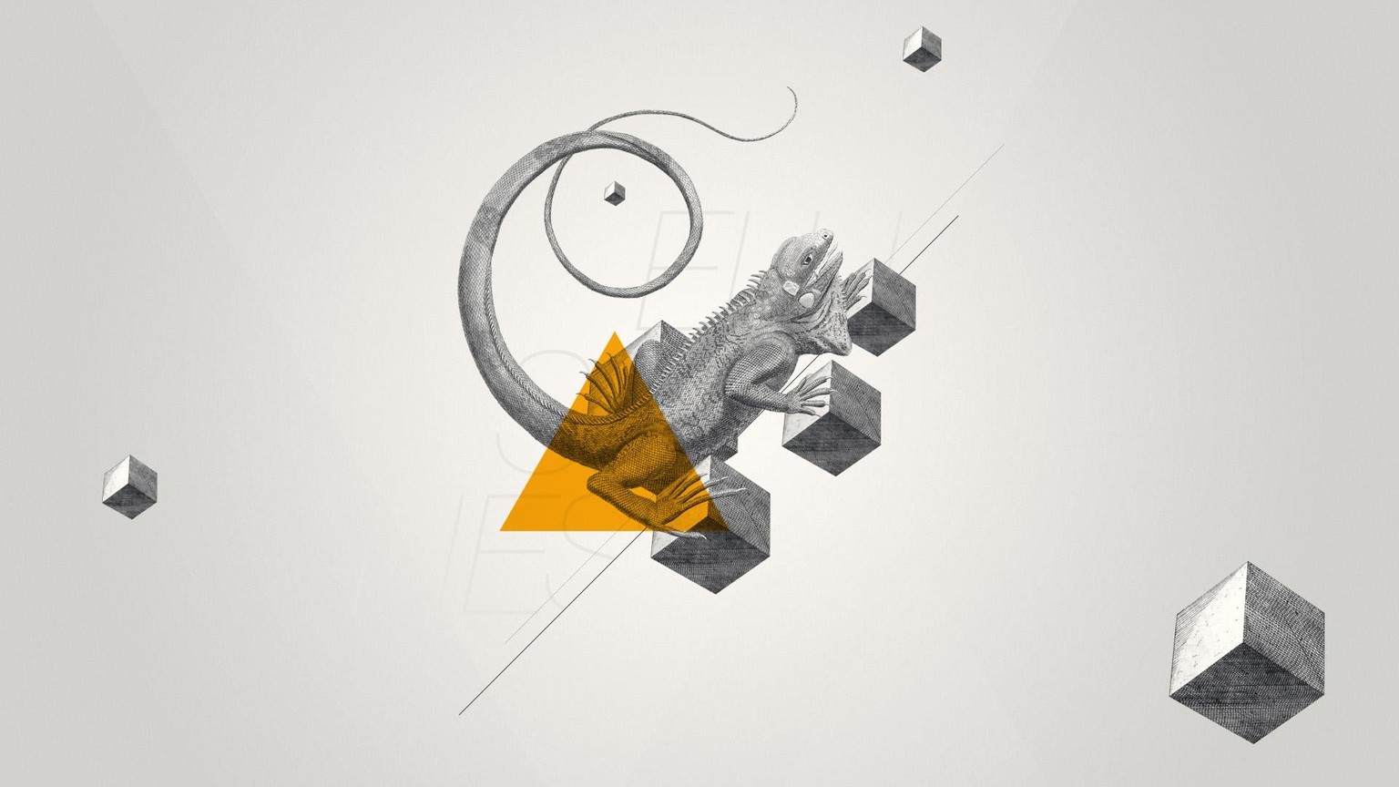 Archetypes - image 9 - student project
