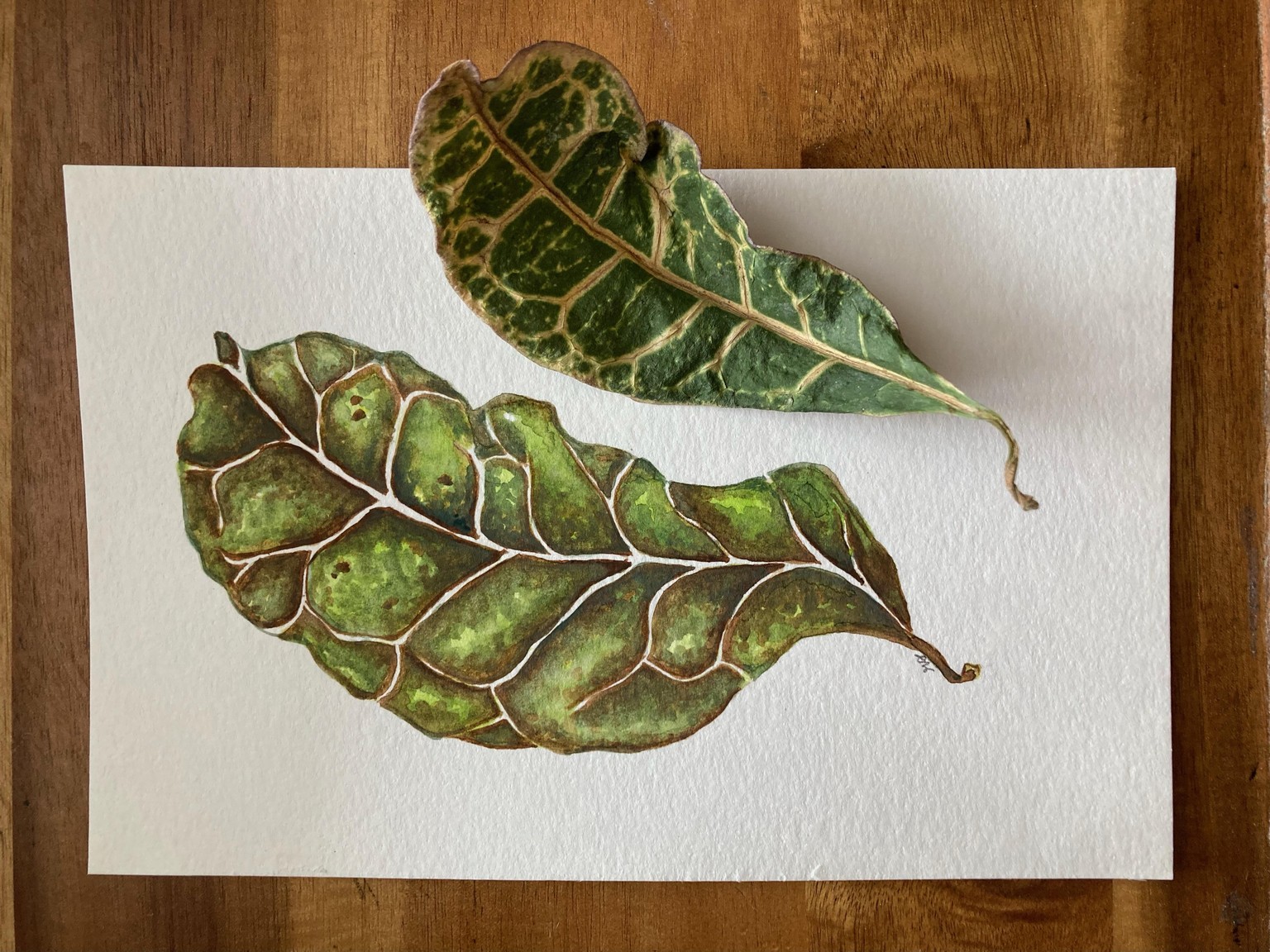 Leaf - image 1 - student project