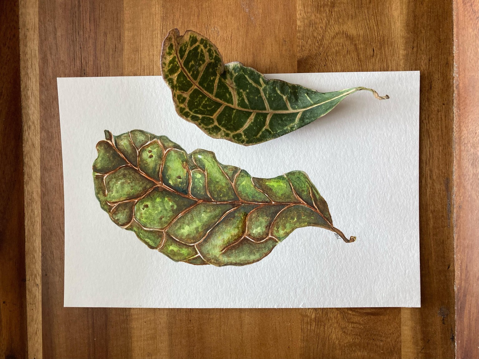 Leaf - image 2 - student project