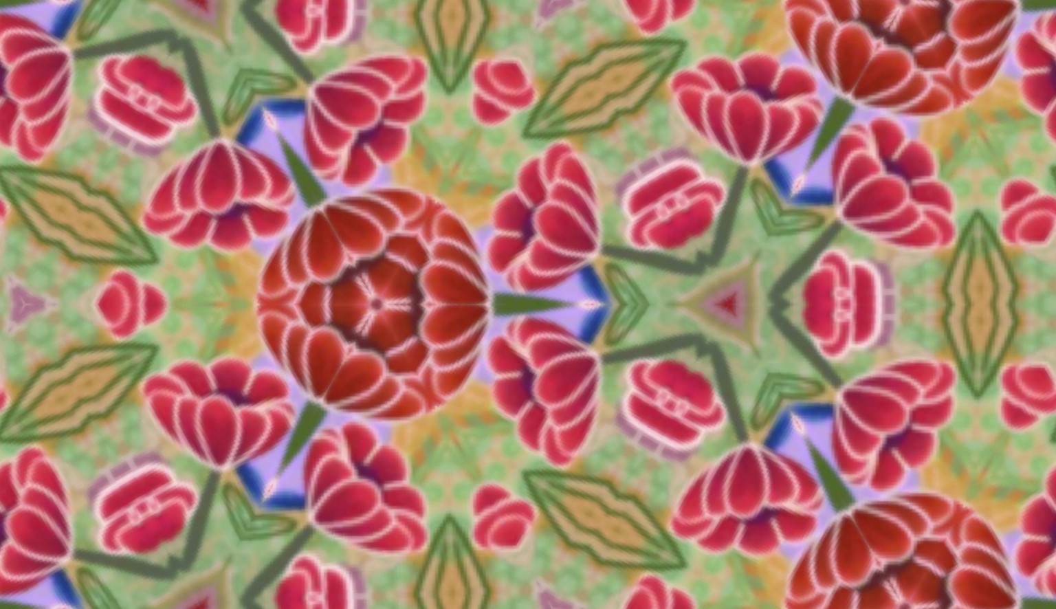 Adobe Capture Samples - image 4 - student project