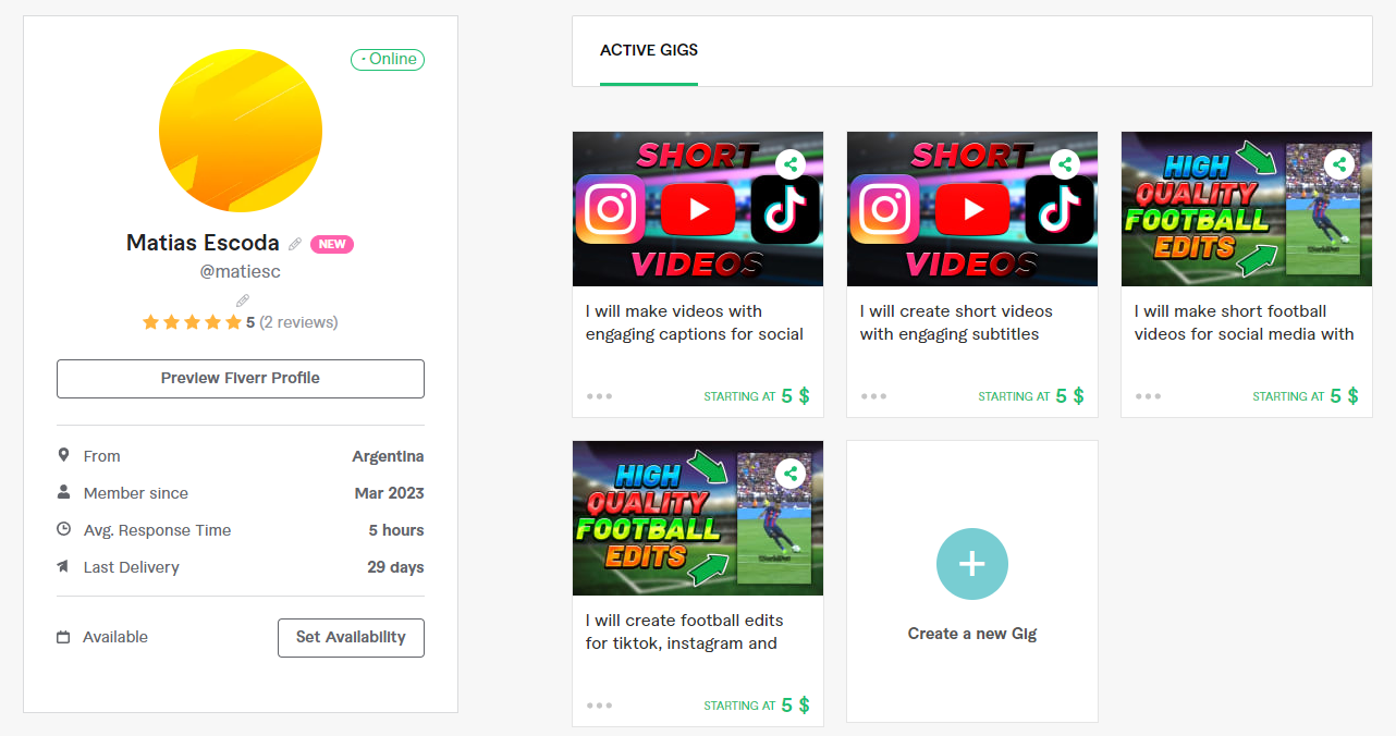 Fiverr Gig and Profile - image 1 - student project