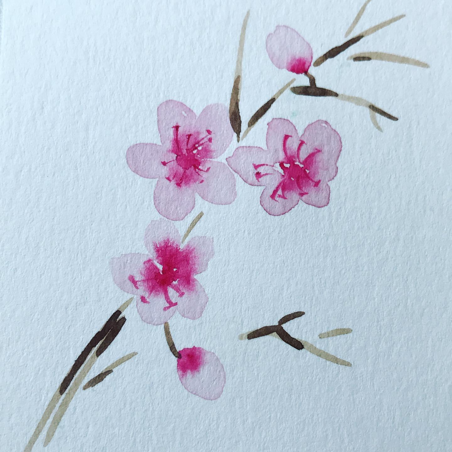 Cherry Blossoms - image 1 - student project