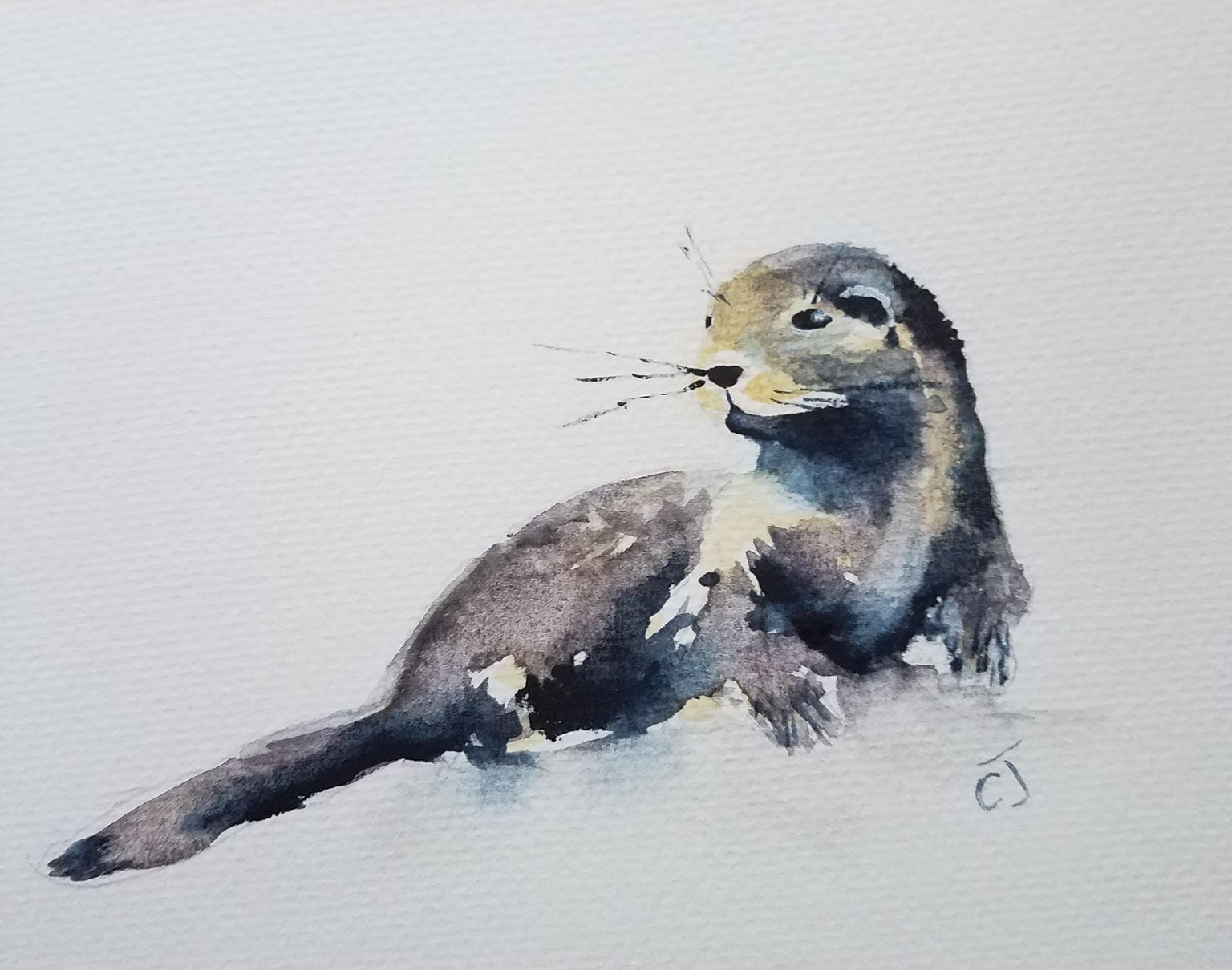 My otter - image 1 - student project