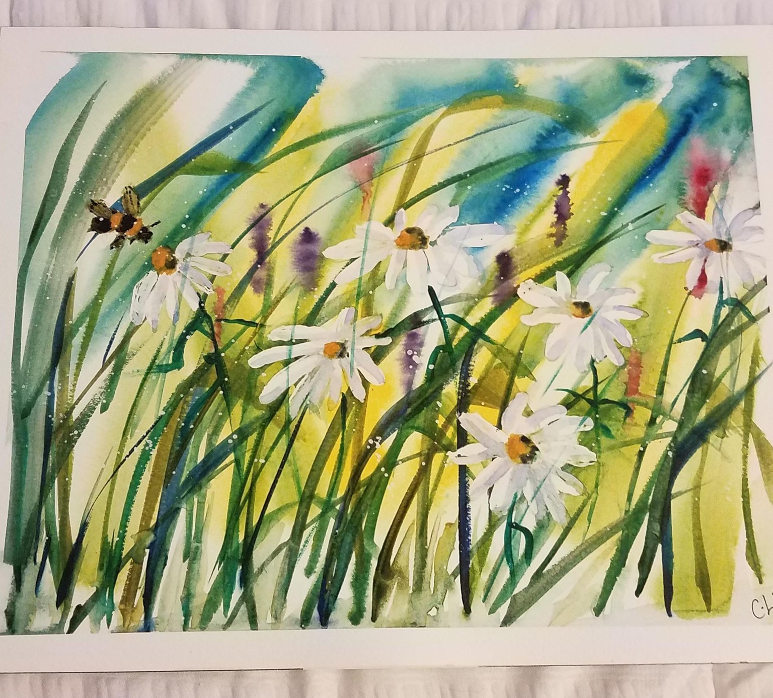 daisy - image 1 - student project