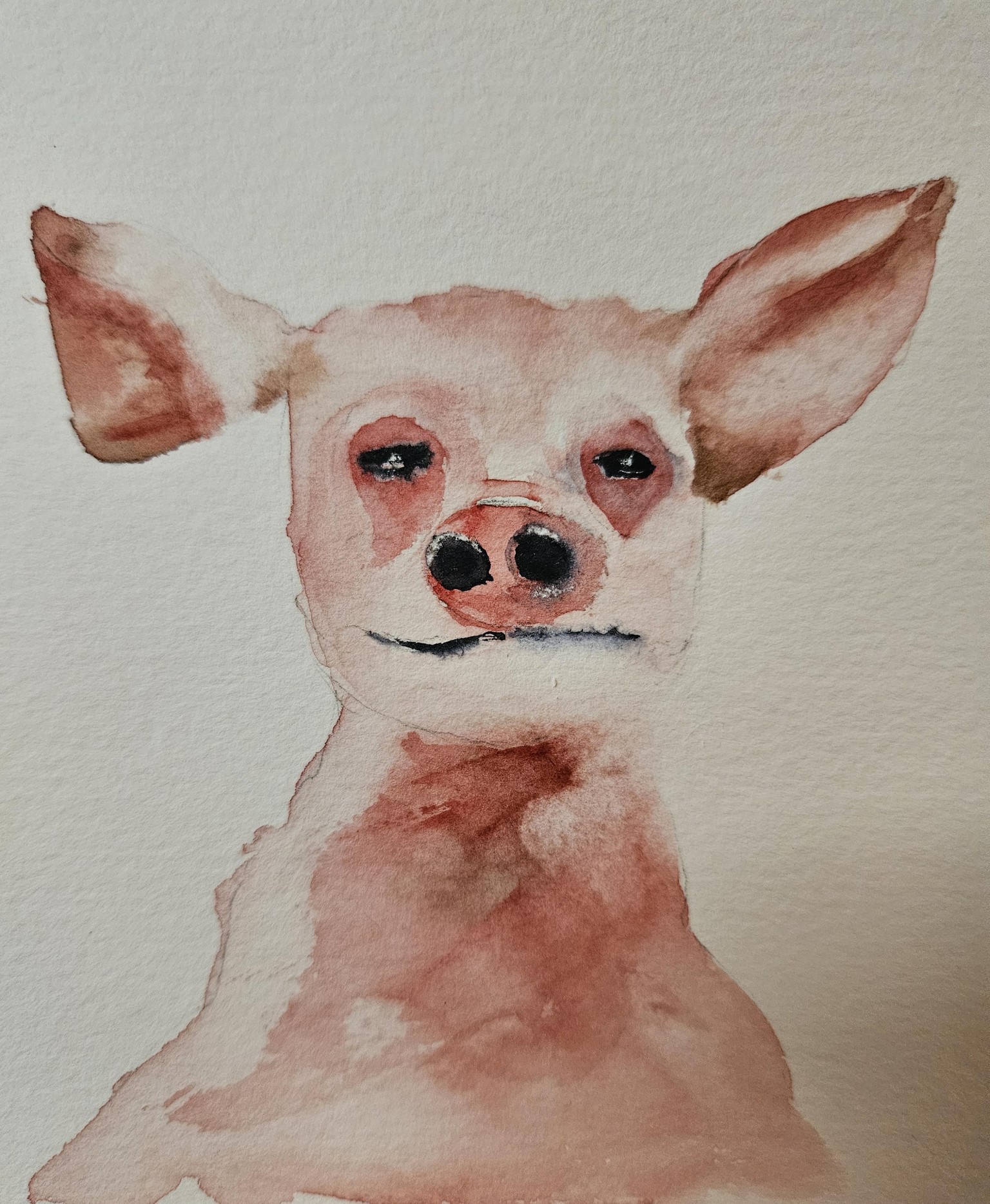 Cute baby animals - image 4 - student project
