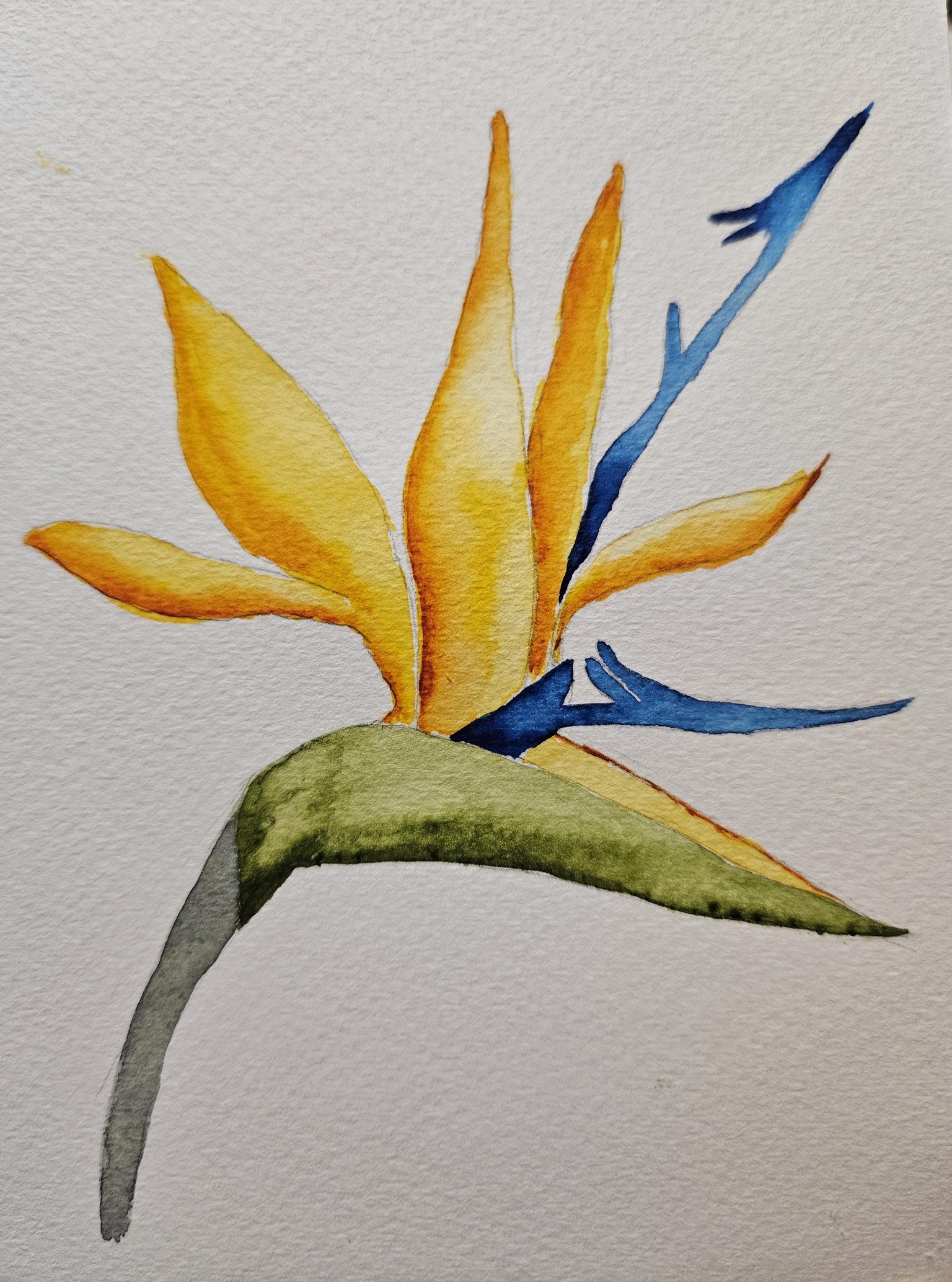 Tropical plants with Priya - image 5 - student project