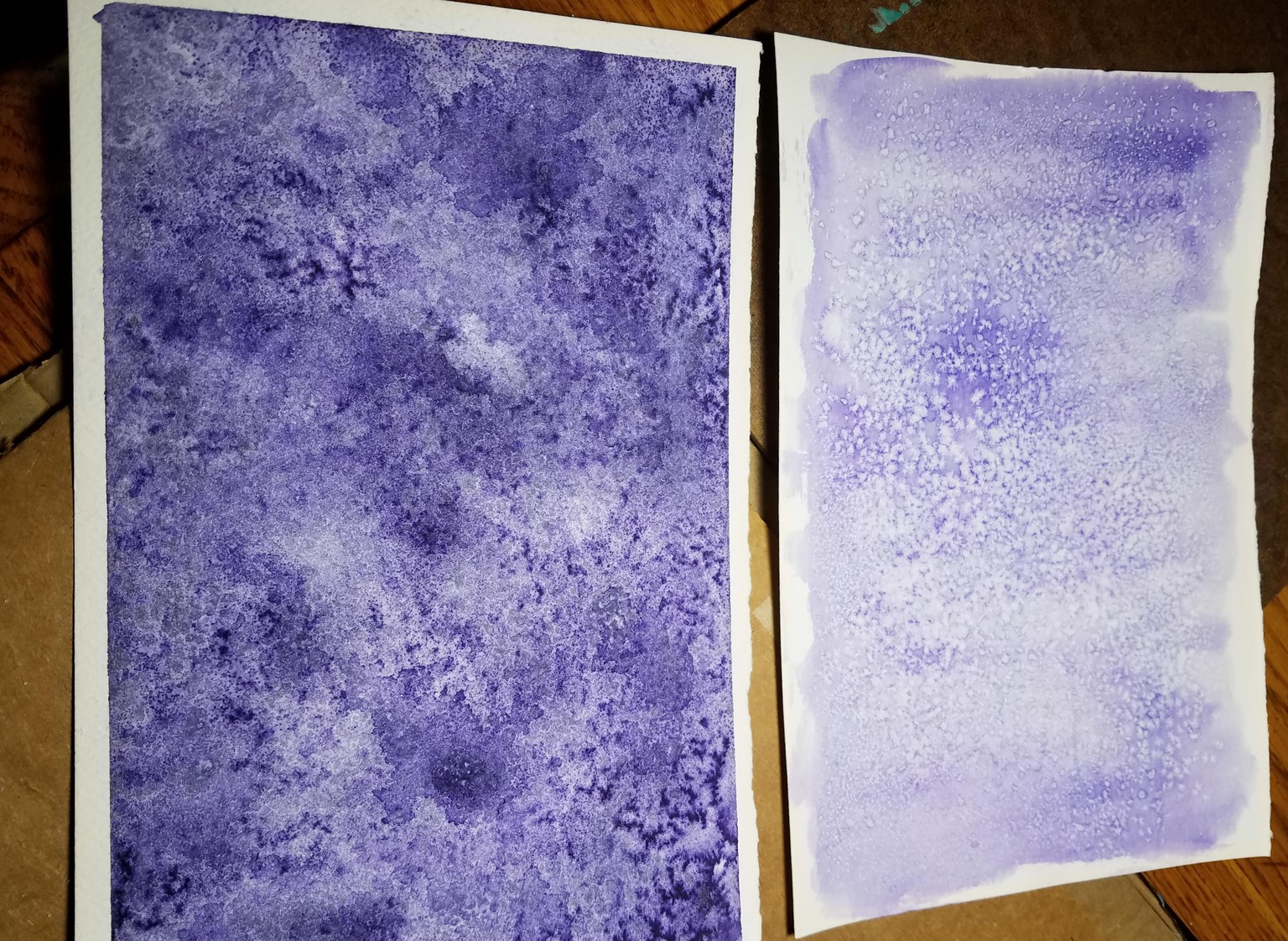 Salty0220 - image 1 - student project