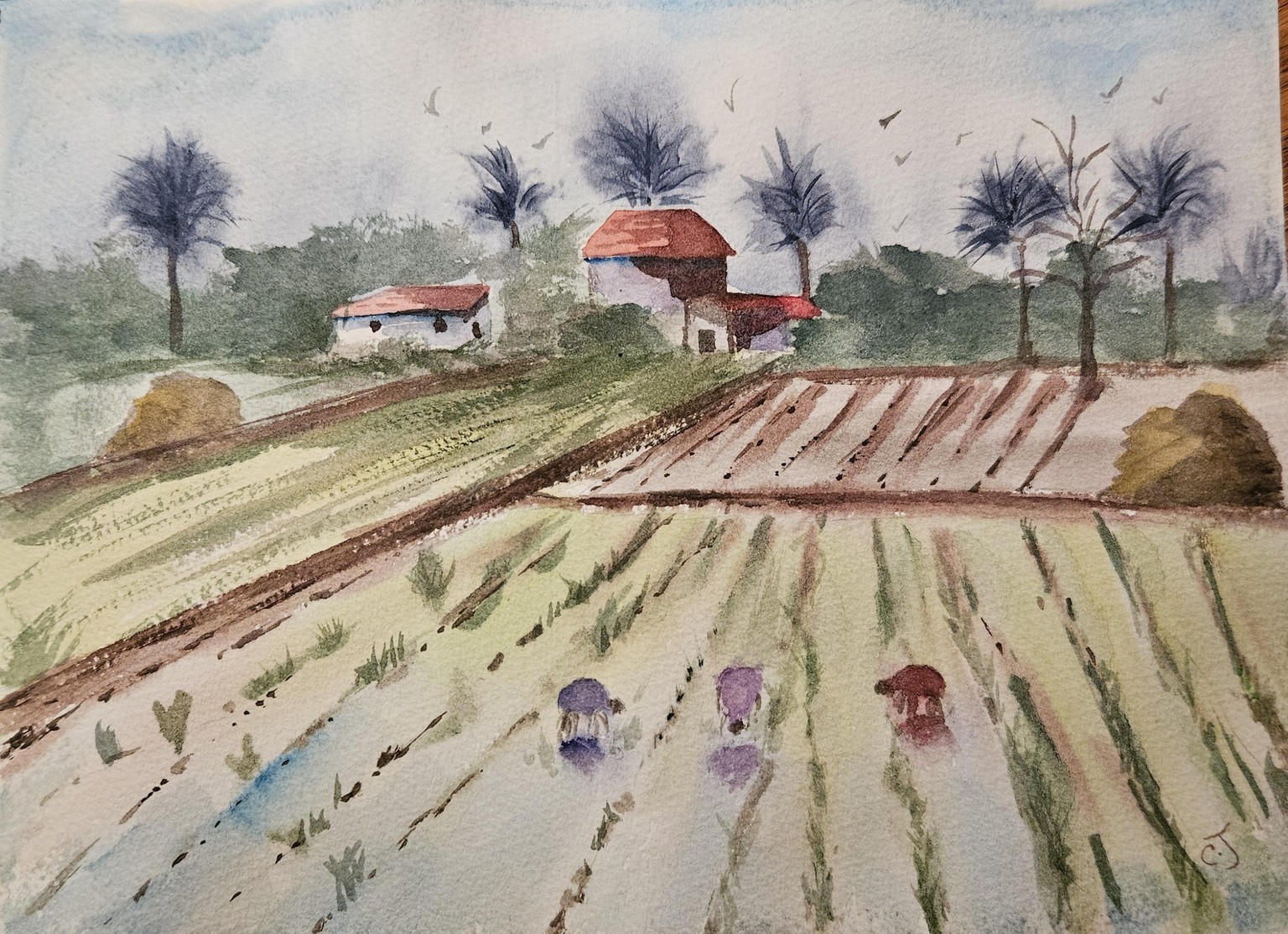 Monsoon fields - image 1 - student project