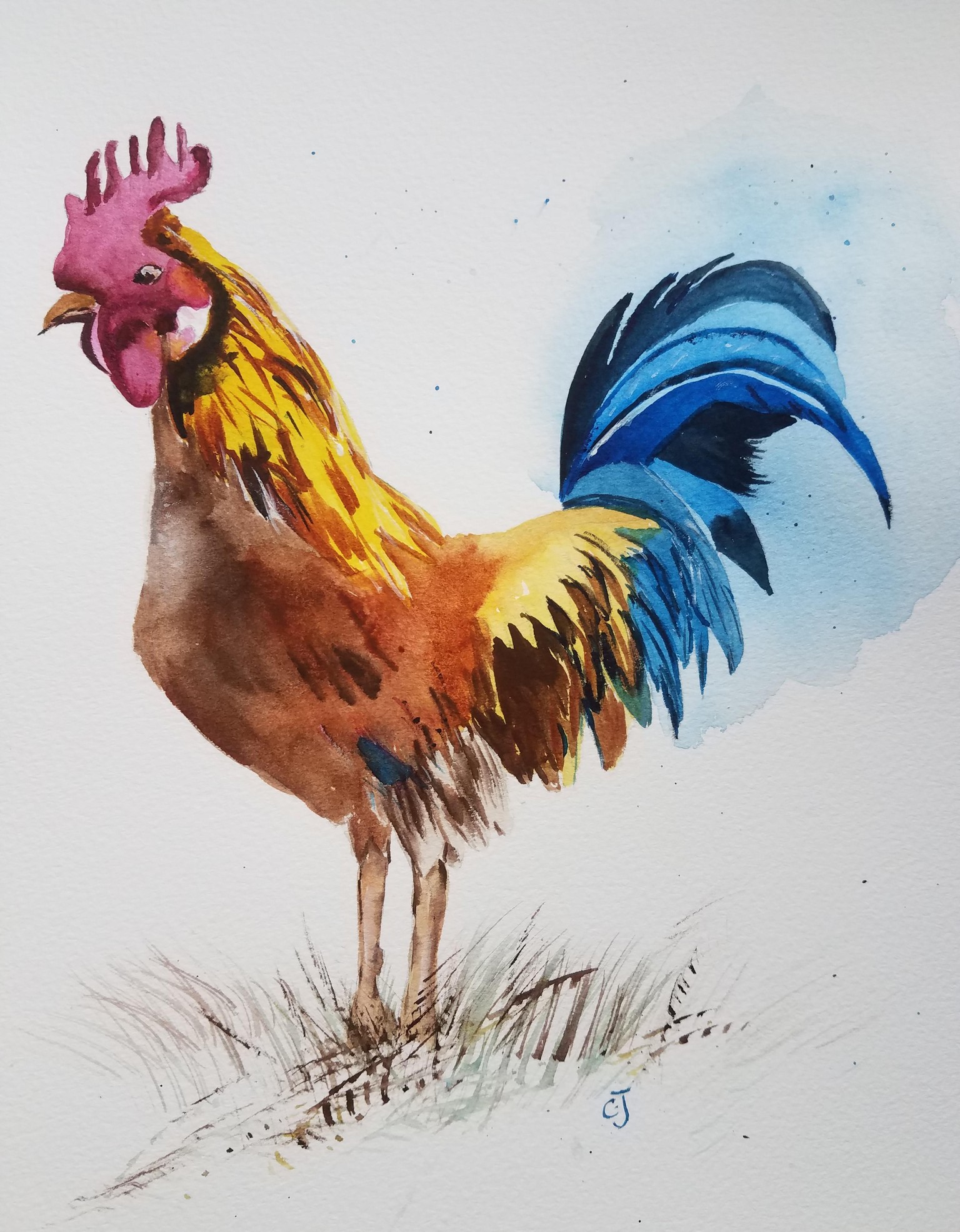 Rooster0726 - image 1 - student project