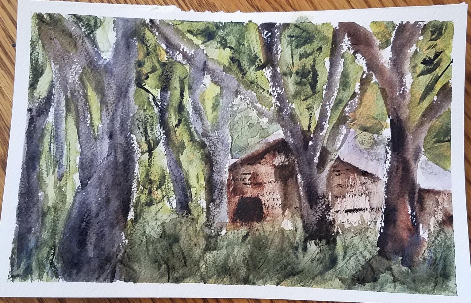 Forest hut - image 1 - student project
