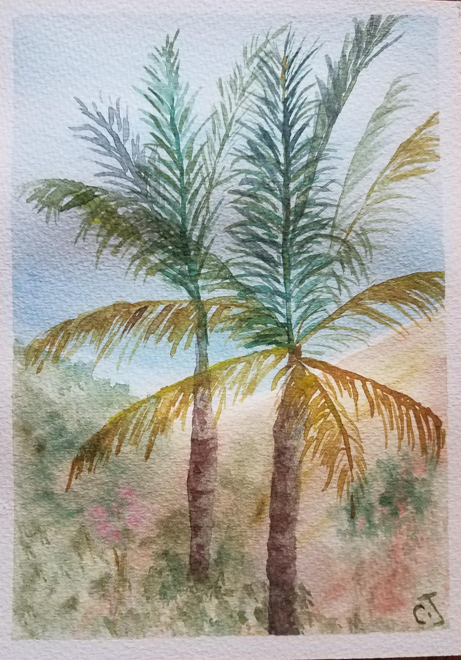 Palm0906 - image 1 - student project