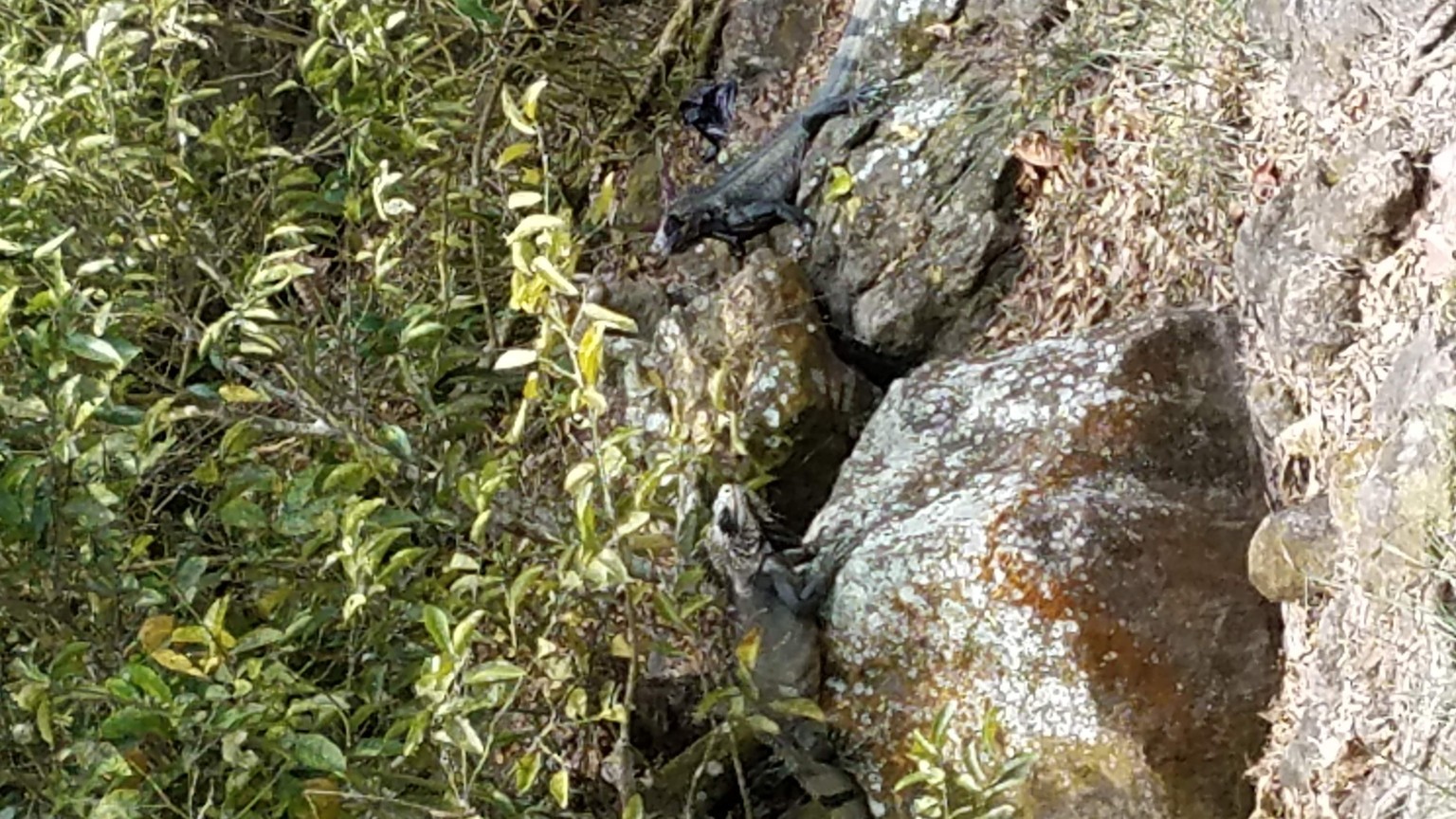 Rock study - image 2 - student project