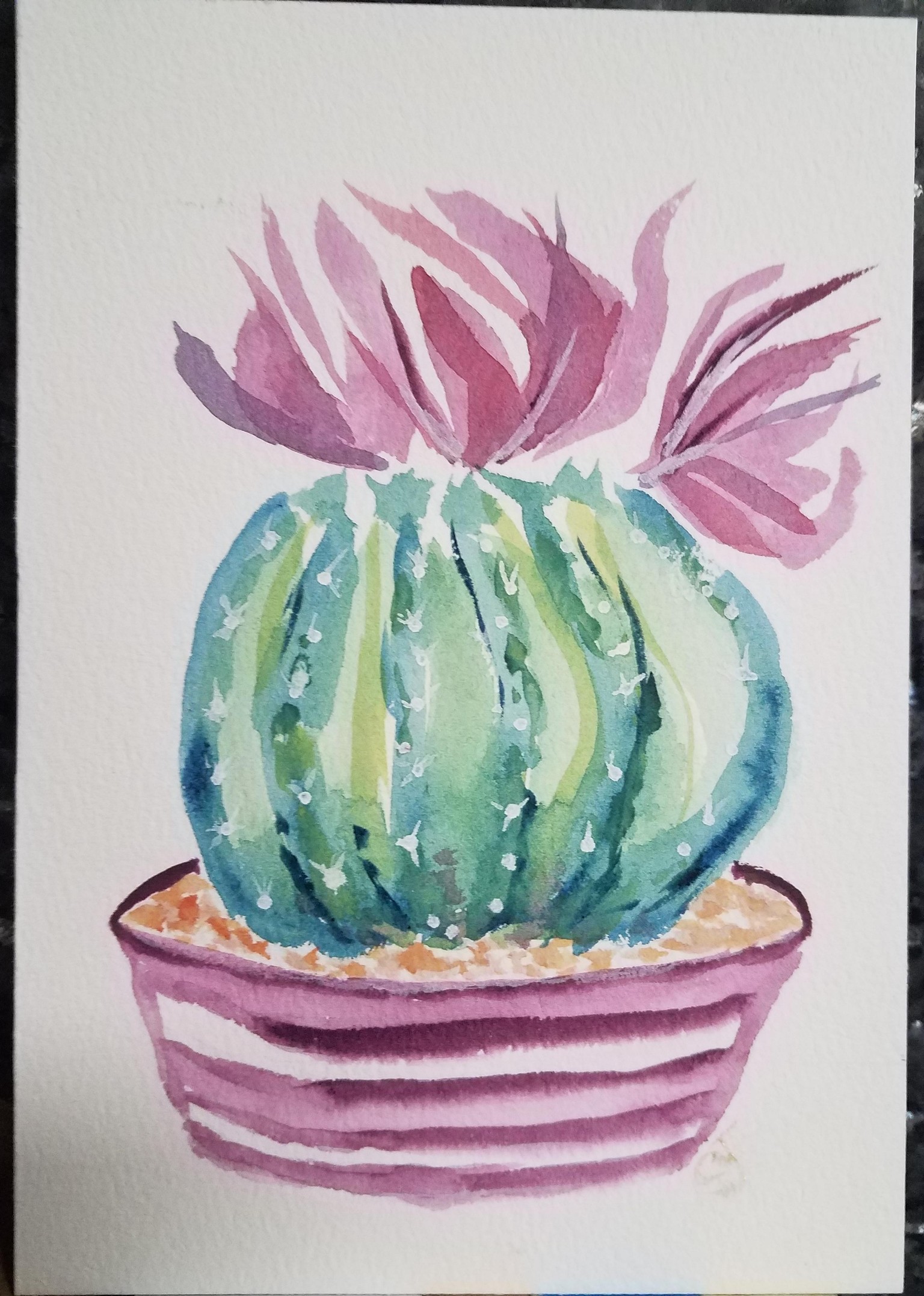 Abstract Cactus - image 1 - student project