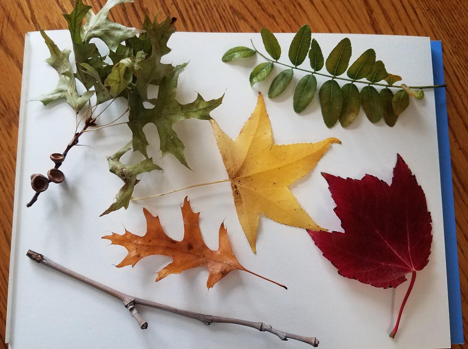 Different tools and dyes - image 1 - student project