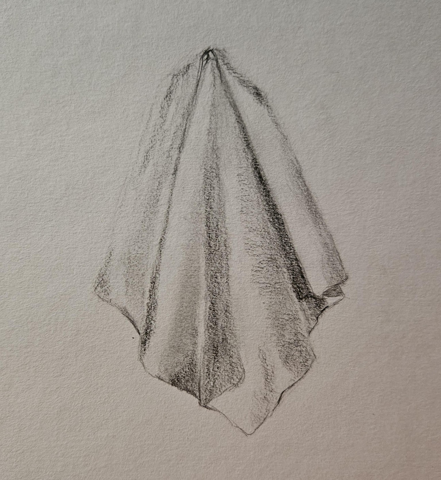 Folds with graphite - image 1 - student project