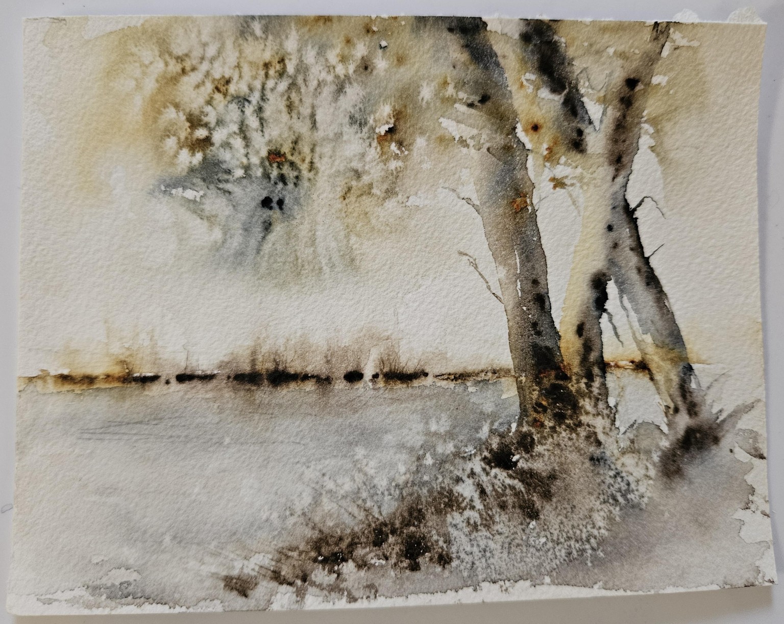 Mini landscapes - Jane Davies - image 4 - student project