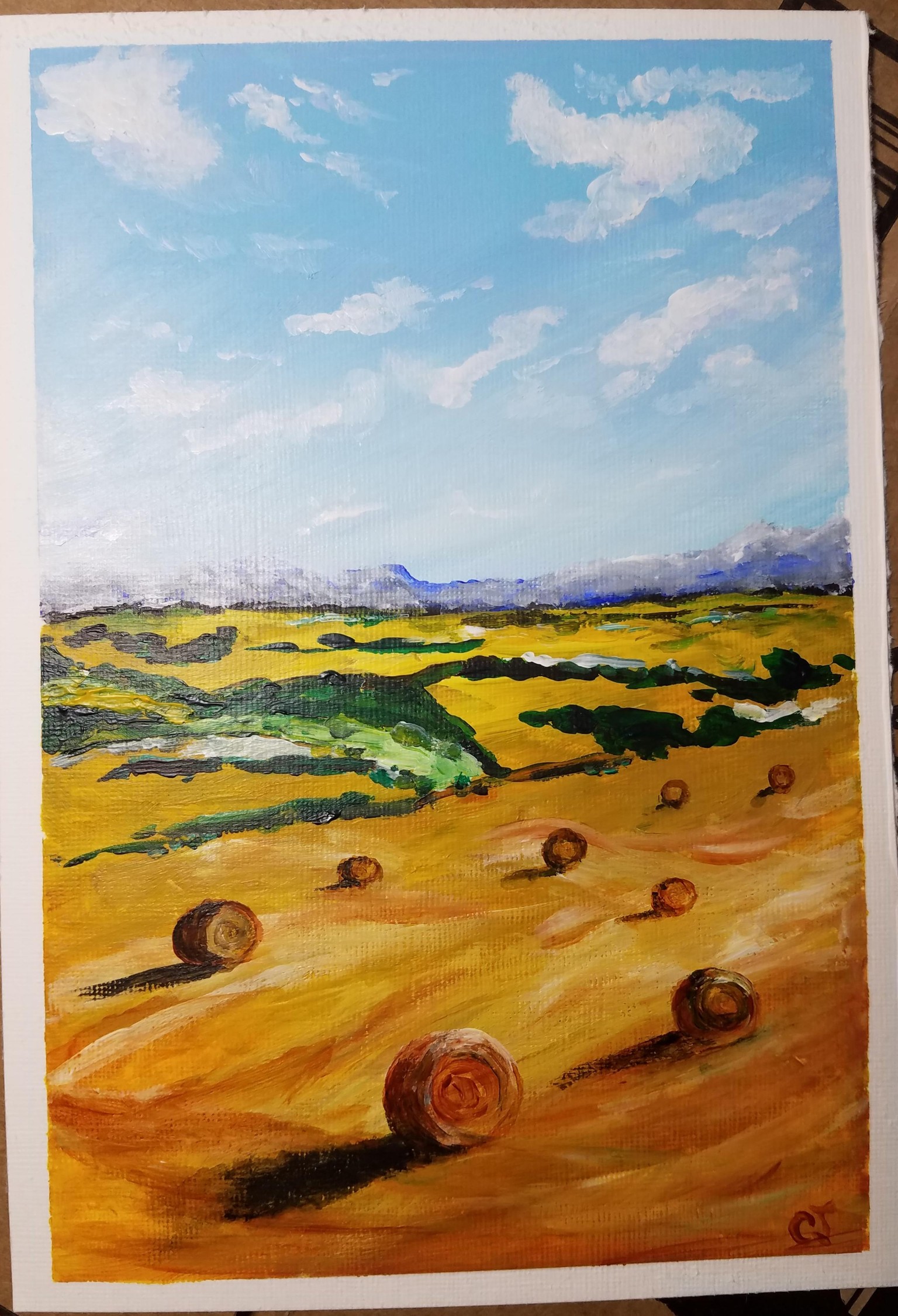 Landacrylic0511 - image 1 - student project