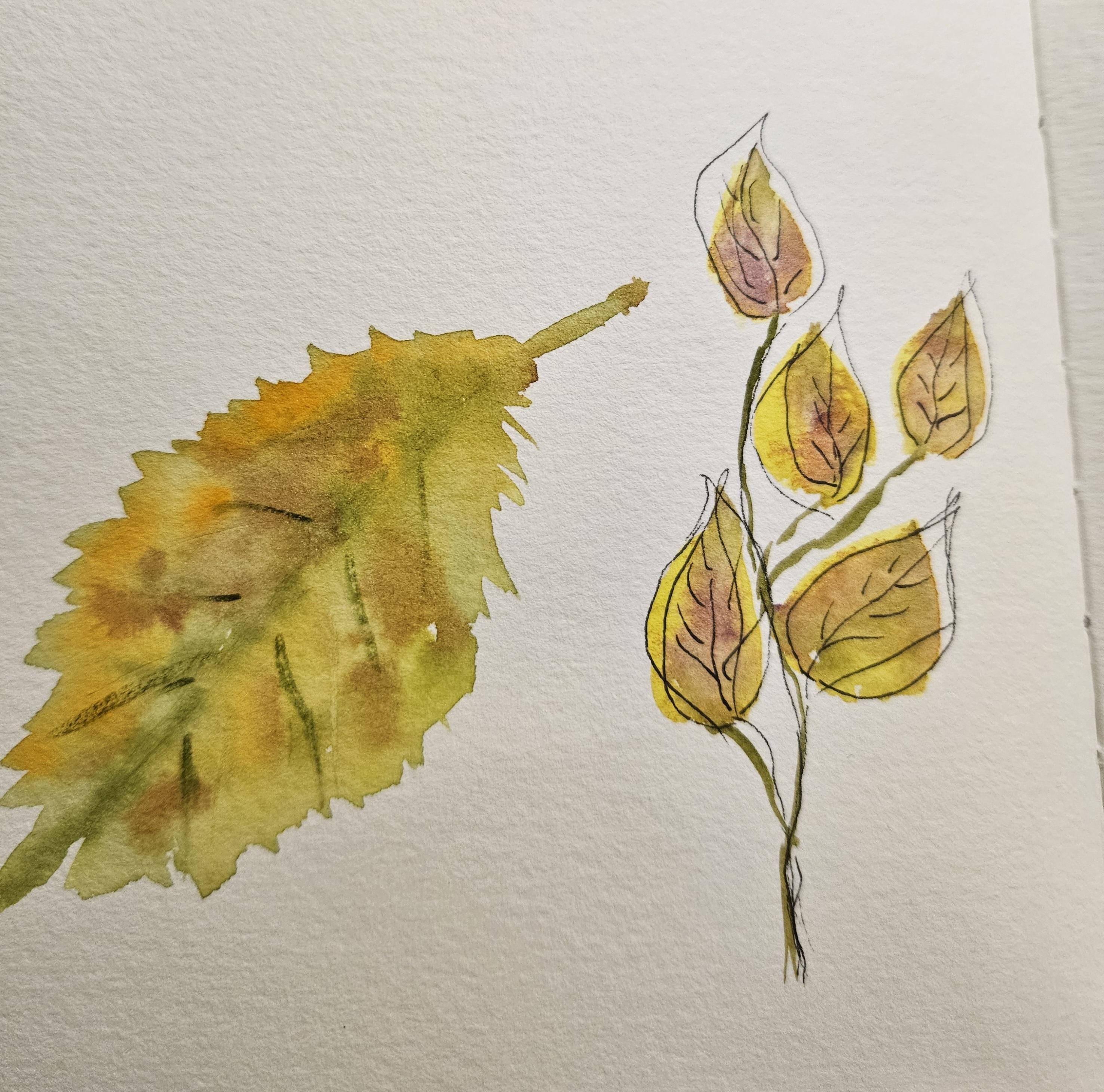 Autumn leaves - image 1 - student project