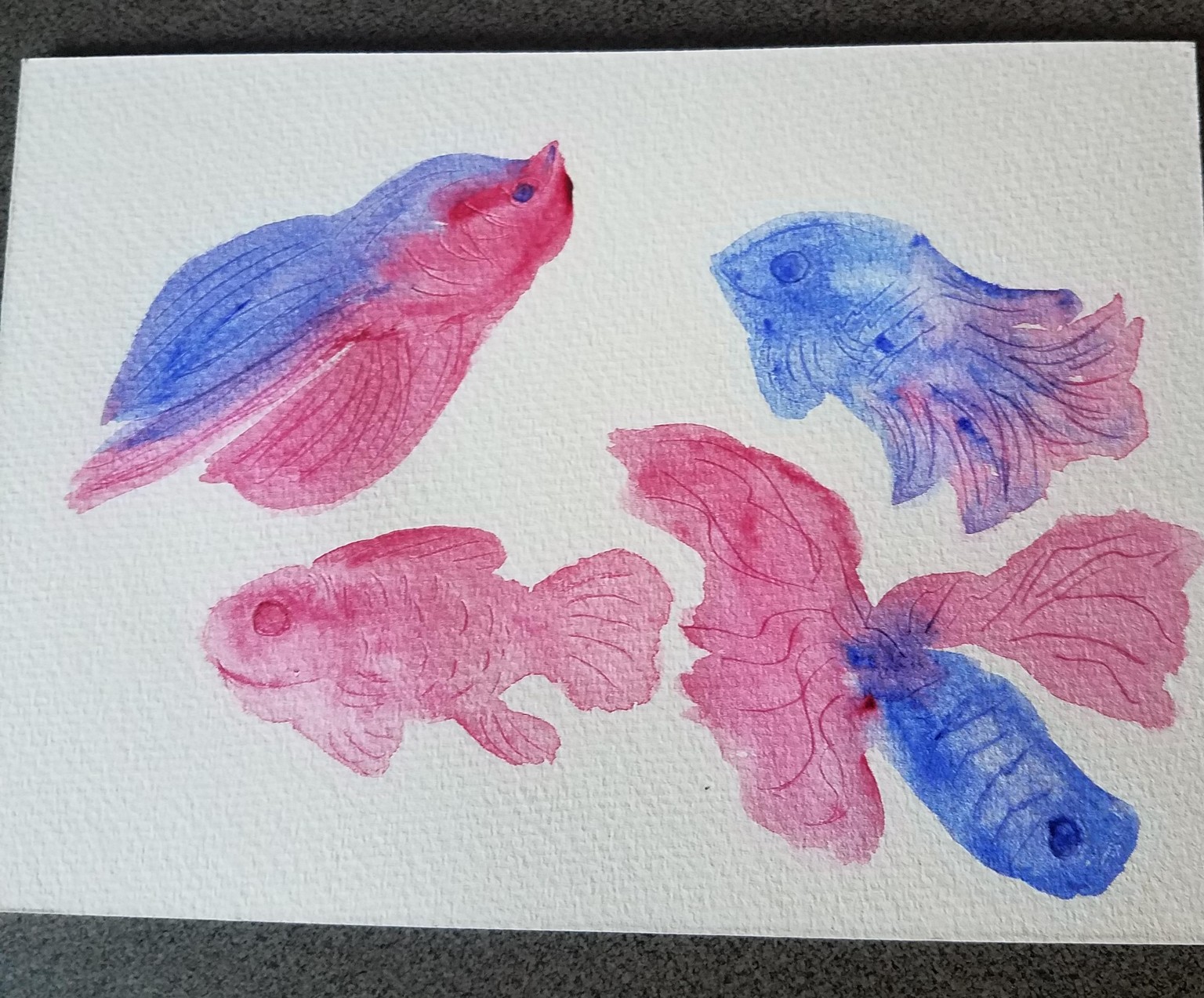 Pink fish - image 1 - student project