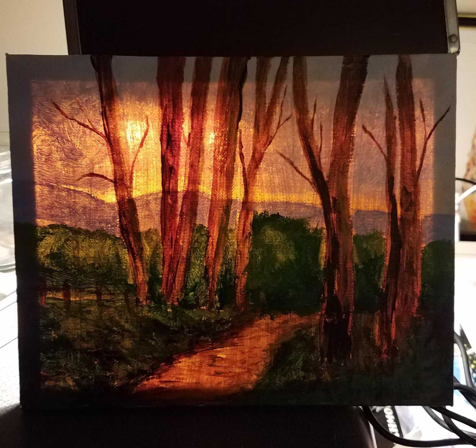 Bare trees - image 2 - student project