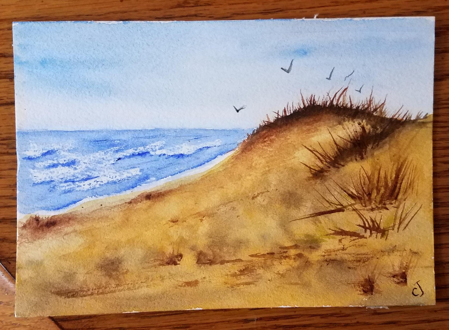 Dunes - image 1 - student project