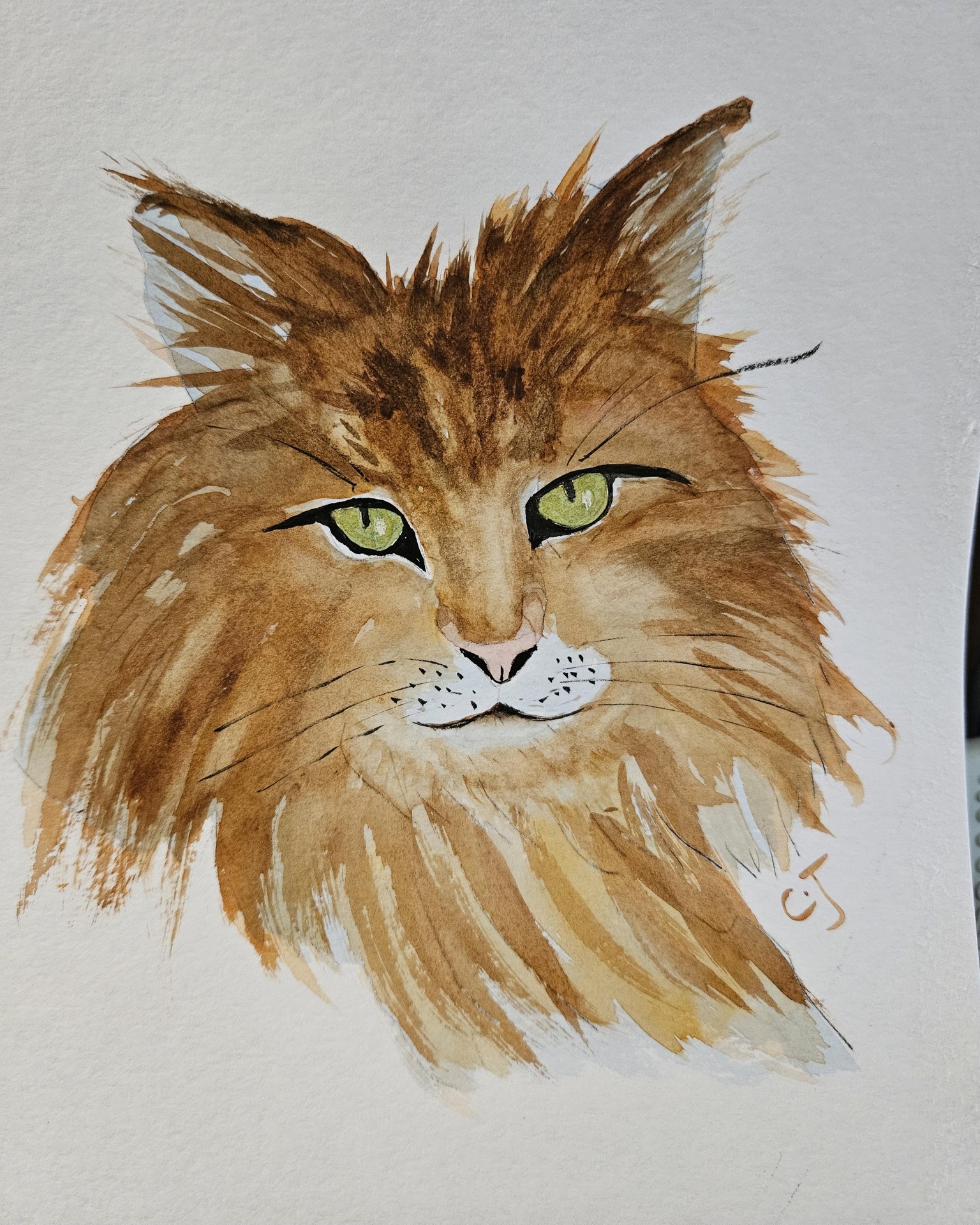 Watercolor cat- semi abstract - image 1 - student project