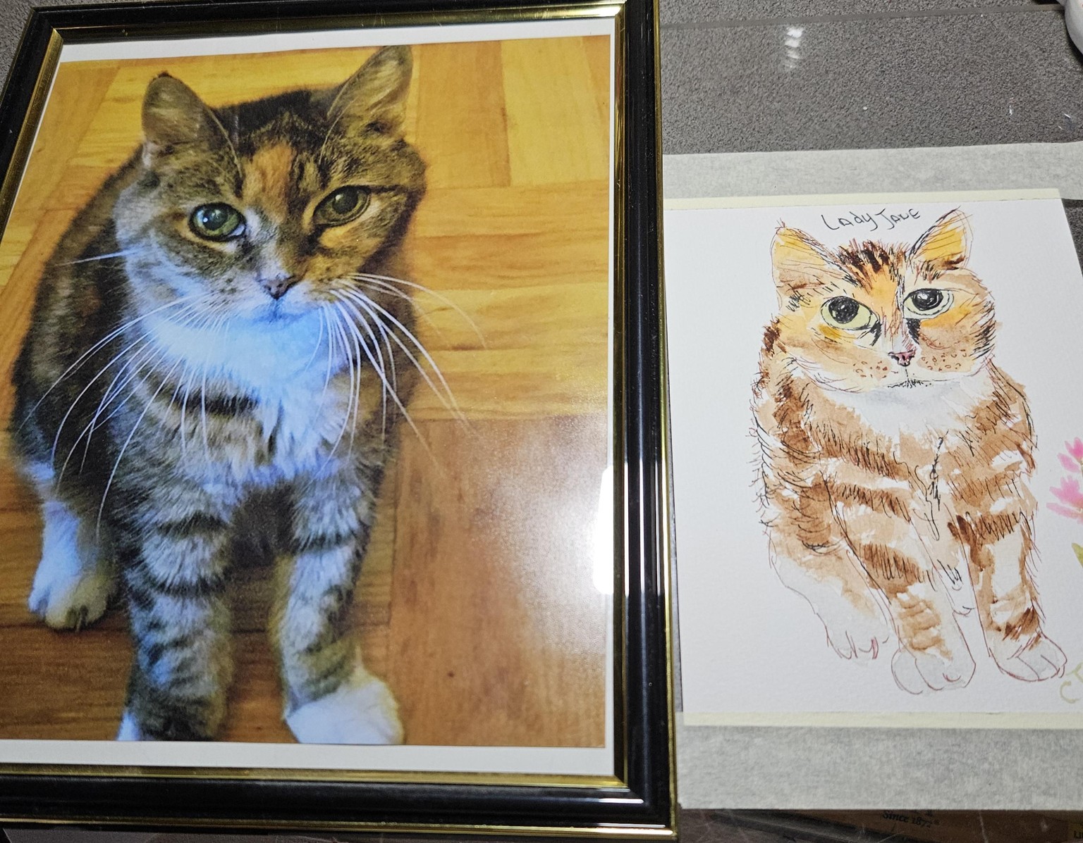 Lady Jane cat illustration - image 1 - student project