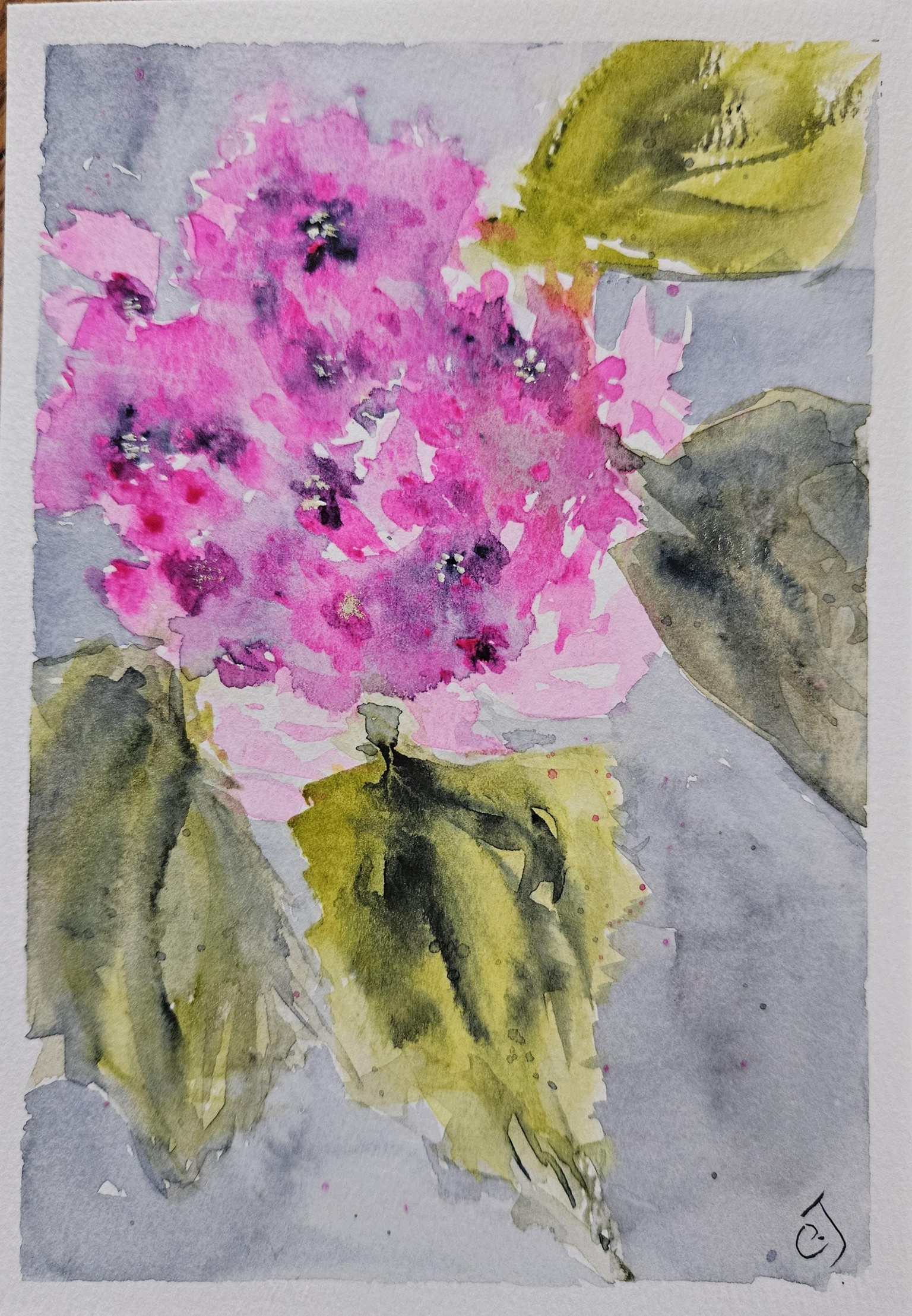 Simple loose hydrangea - image 1 - student project