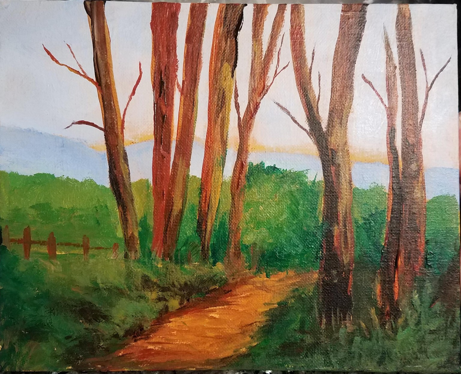 Bare trees - image 1 - student project