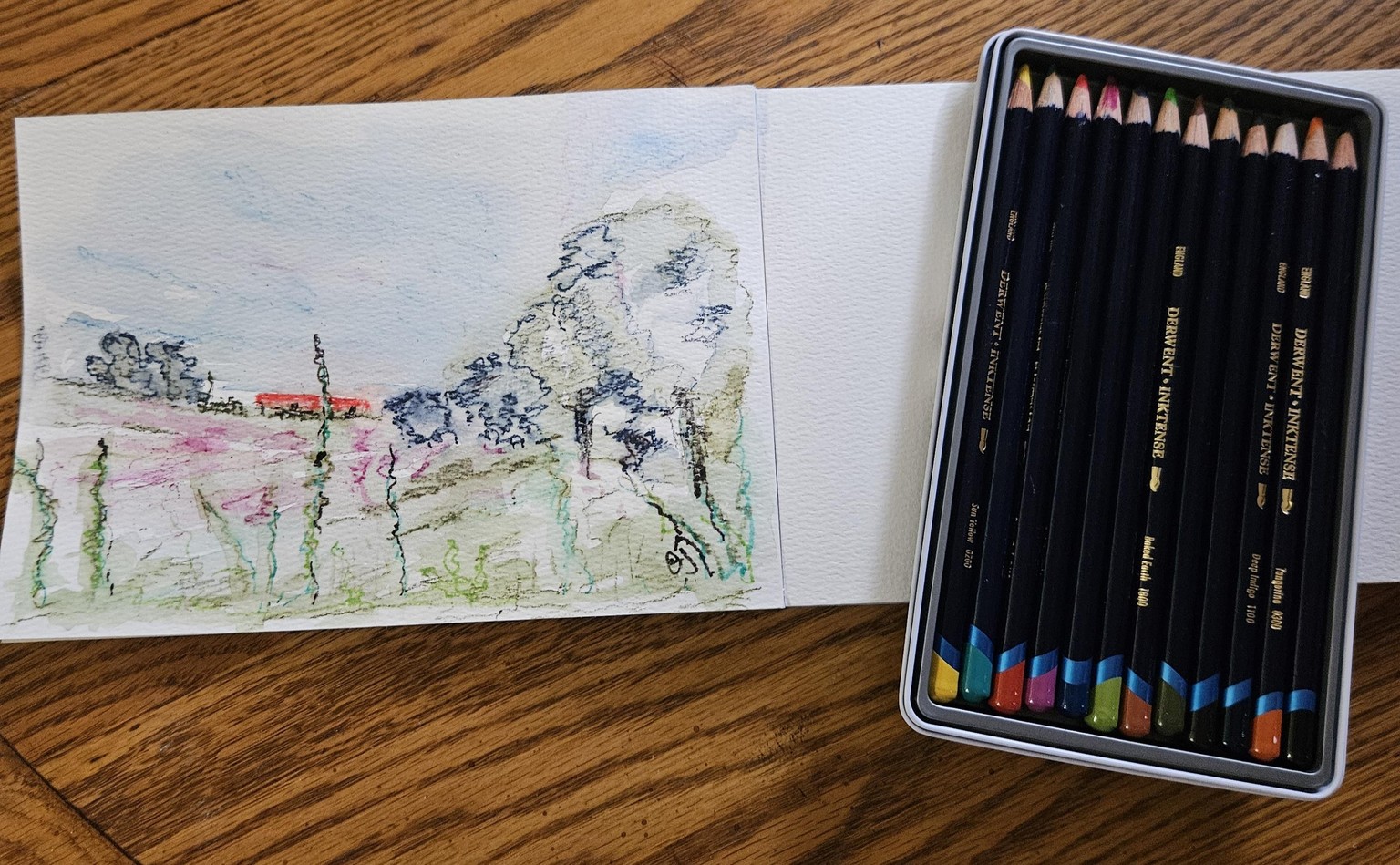 Inktense sketch - image 2 - student project
