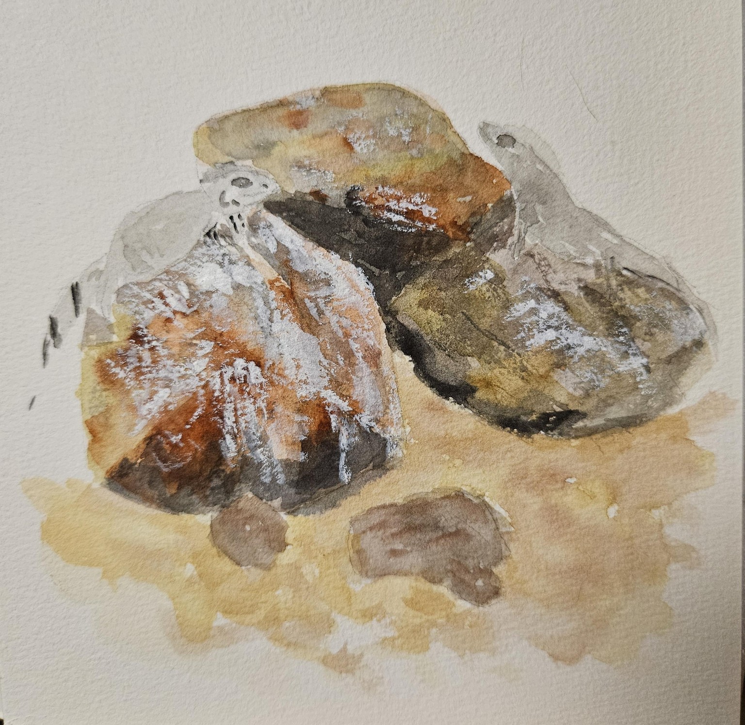 Rock study - image 1 - student project